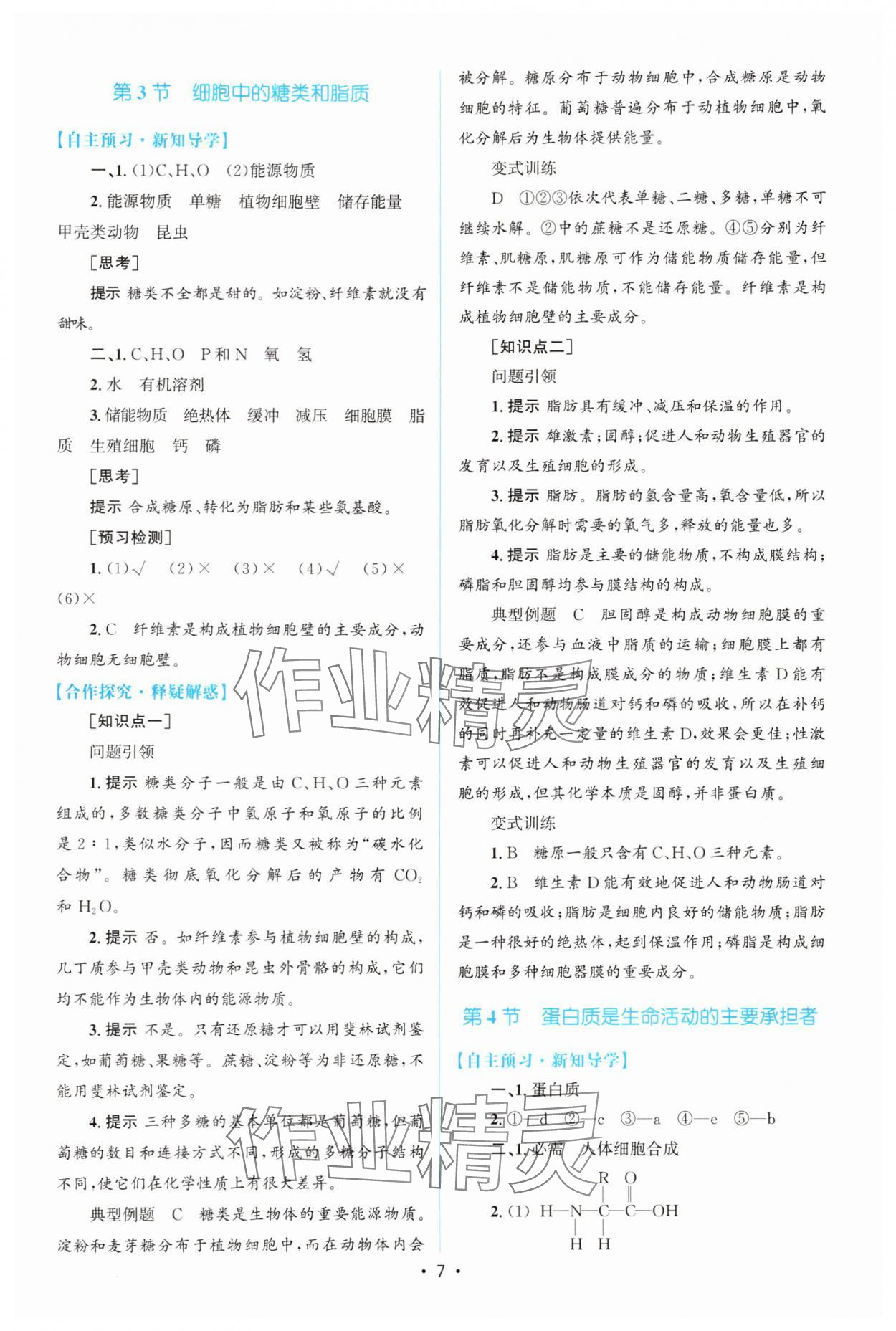 2025年高中同步測控優化設計（分子與細胞）高中生物必修1人教版增強版 參考答案第6頁