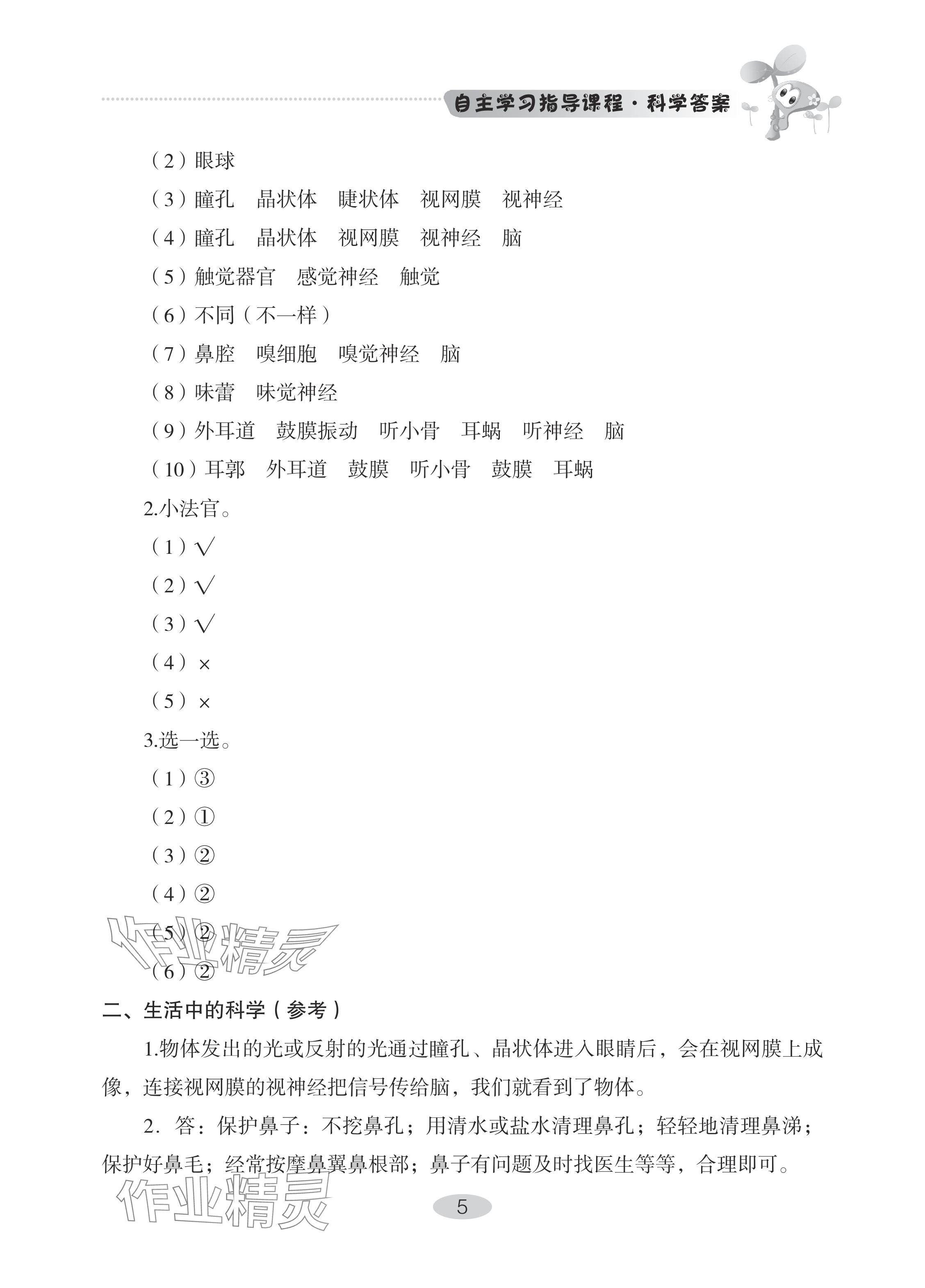 2024年自主學習指導課程六年級科學下冊青島版 參考答案第5頁