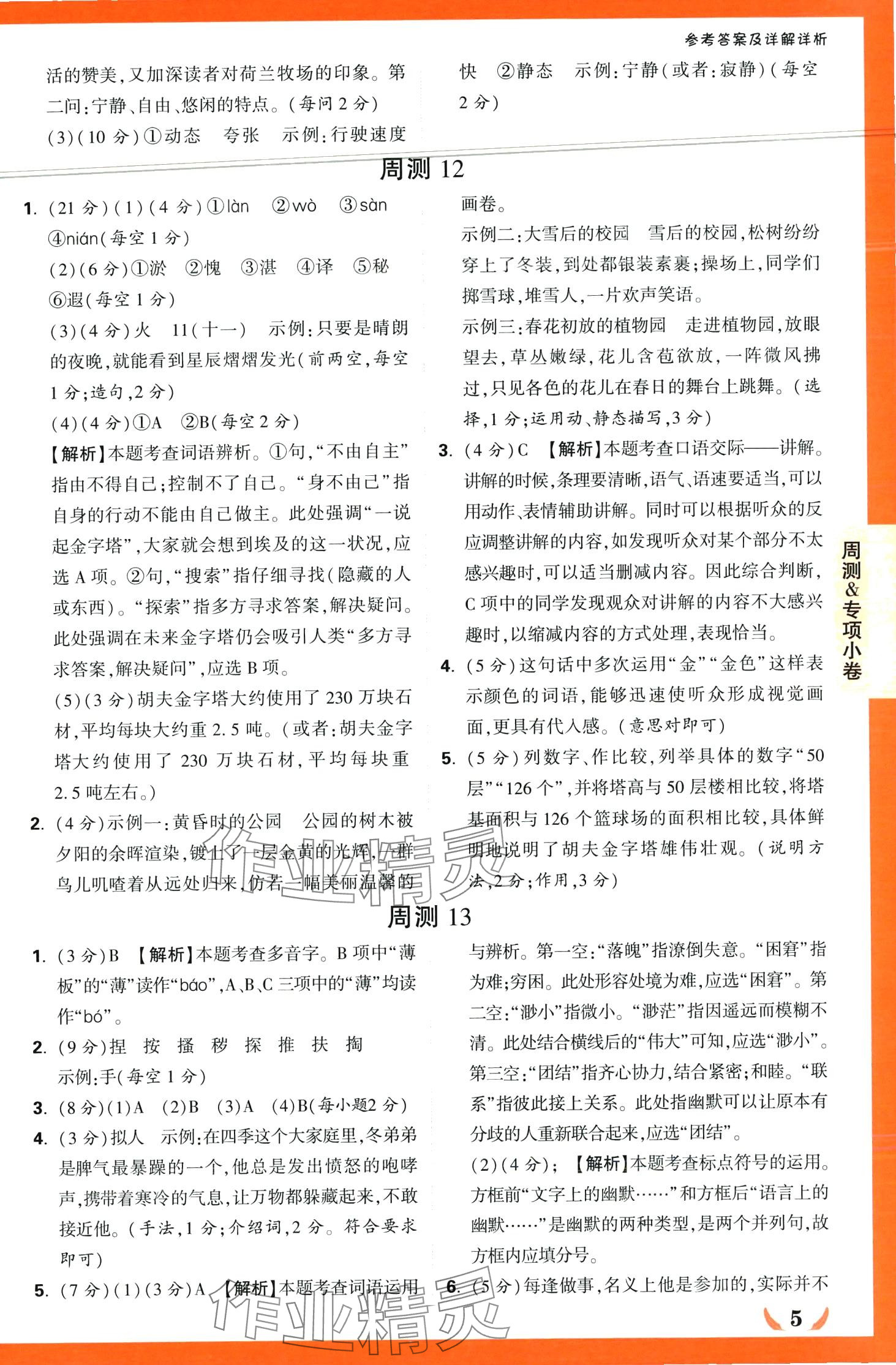 2024年小白鷗情境卷五年級語文下冊人教版 第5頁
