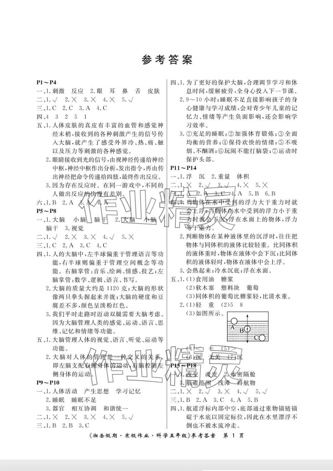 2024年湘岳假期寒假作业五年级科学湘科版 第1页