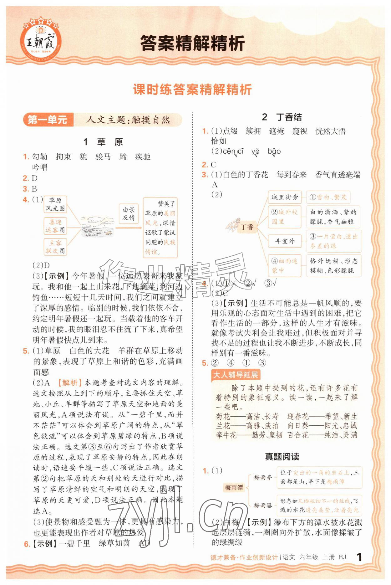 2026年王朝霞德才兼备作业创新设计六年级语文上册人教版&nbsp;第1页