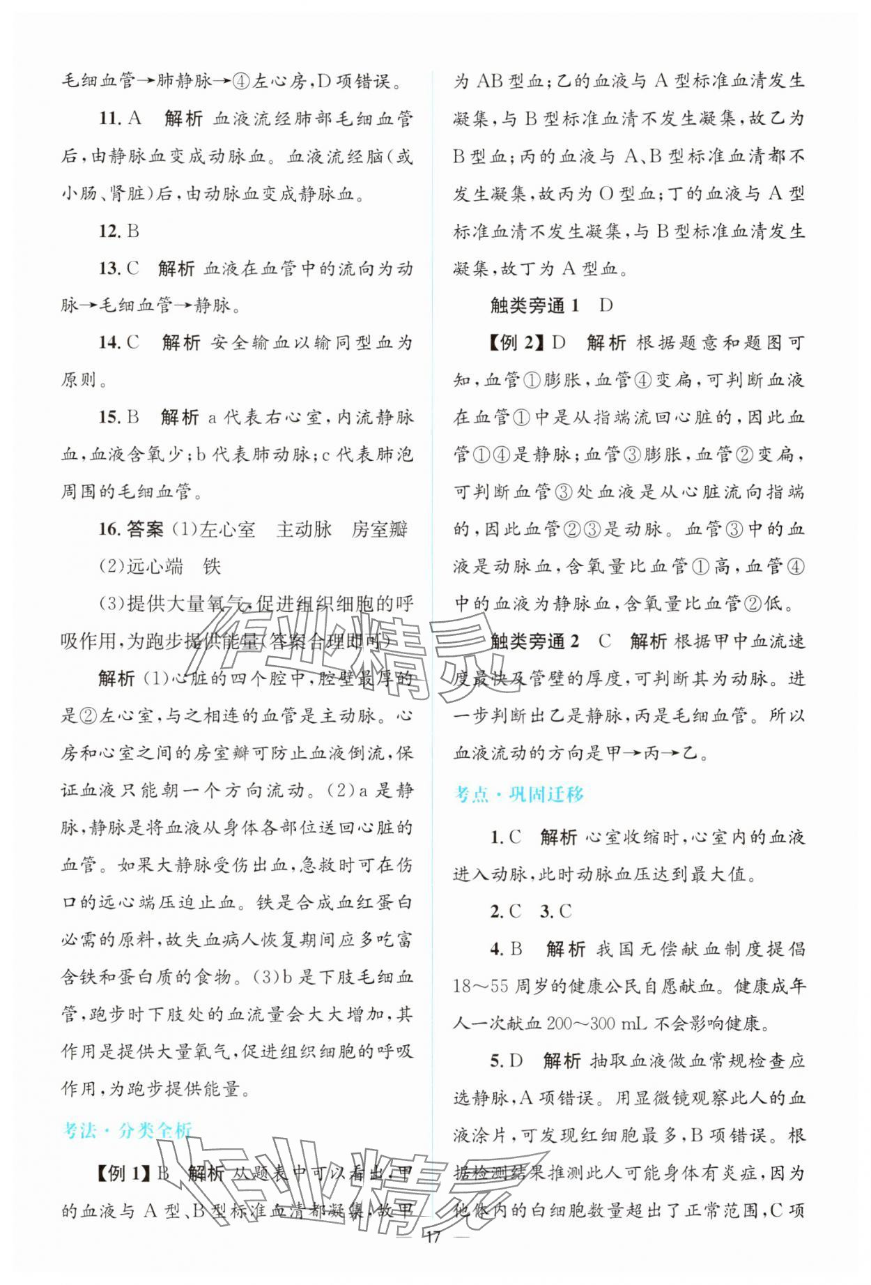 2025年初中總復(fù)習(xí)優(yōu)化設(shè)計(jì)生物廣東專版 參考答案第16頁