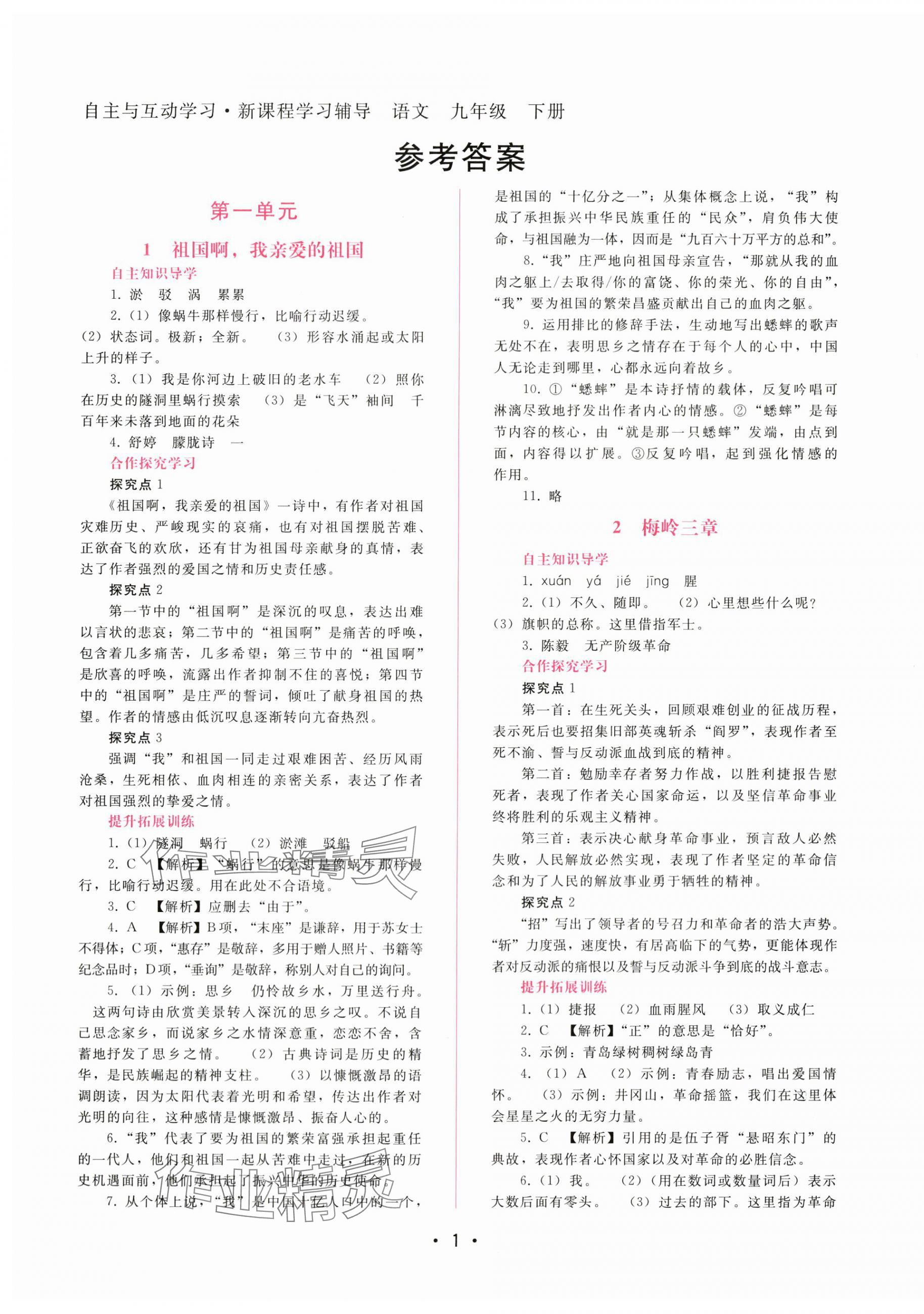 2024年新課程學(xué)習(xí)輔導(dǎo)九年級(jí)語文下冊(cè)人教版 第1頁