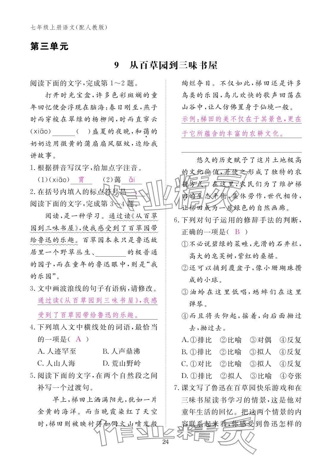 2025年作业本江西教育出版社七年级语文上册人教版 参考答案第24页