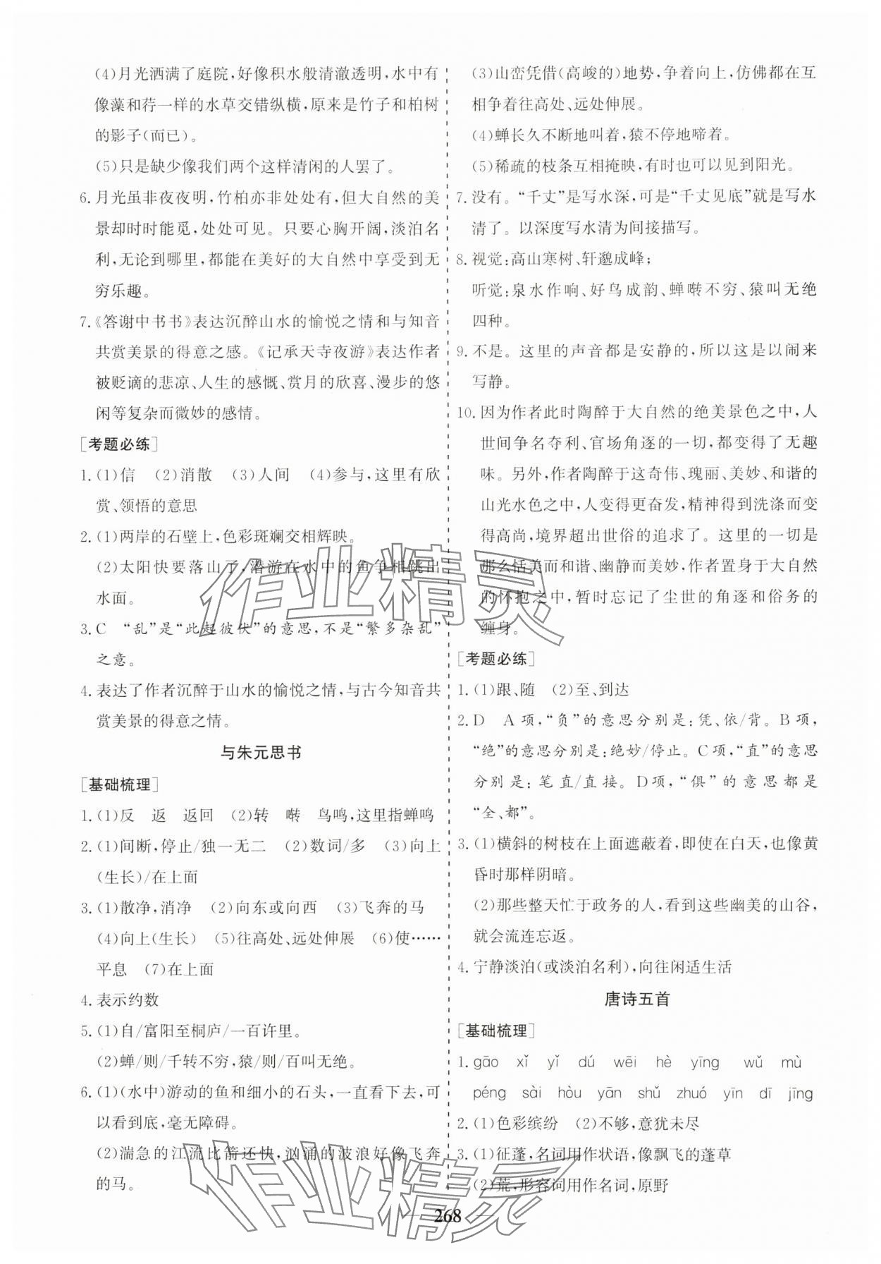 2025年點(diǎn)金考案語文中考 第8頁(yè)