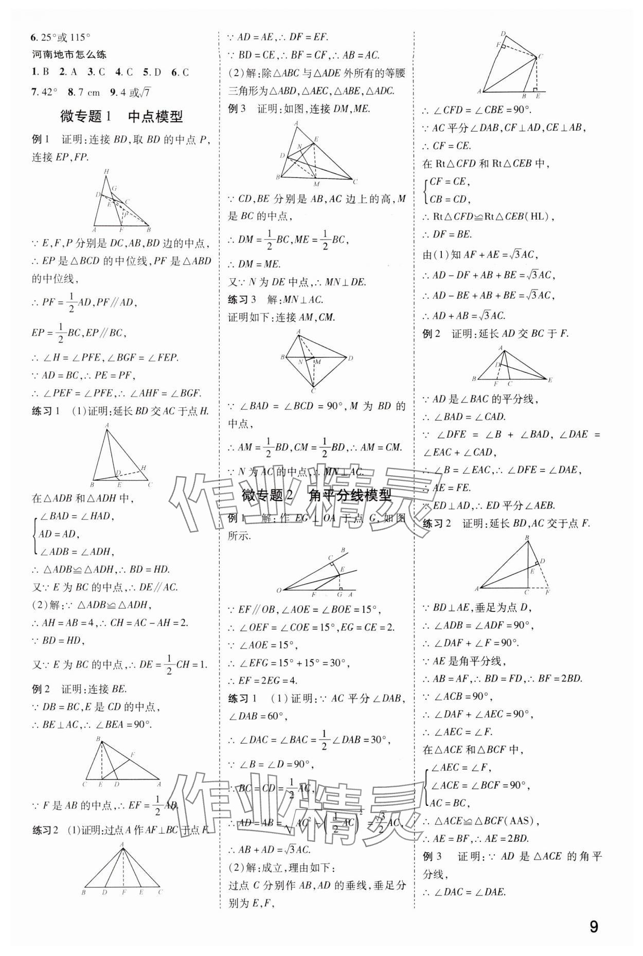 2024年領(lǐng)揚文化中考研究數(shù)學(xué)人教版河南專版 參考答案第8頁