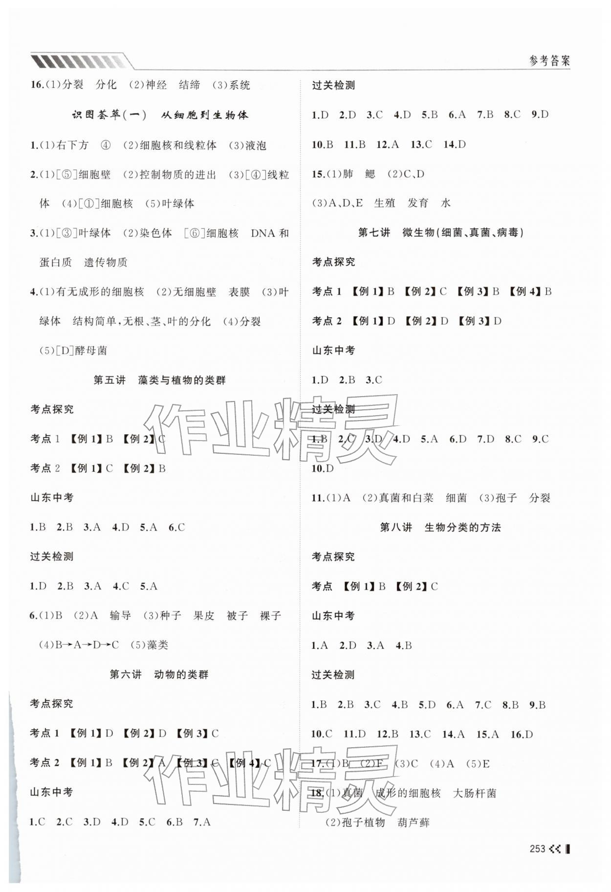 2026年初中总复习手册山东人民出版社生物&nbsp;参考答案第2页