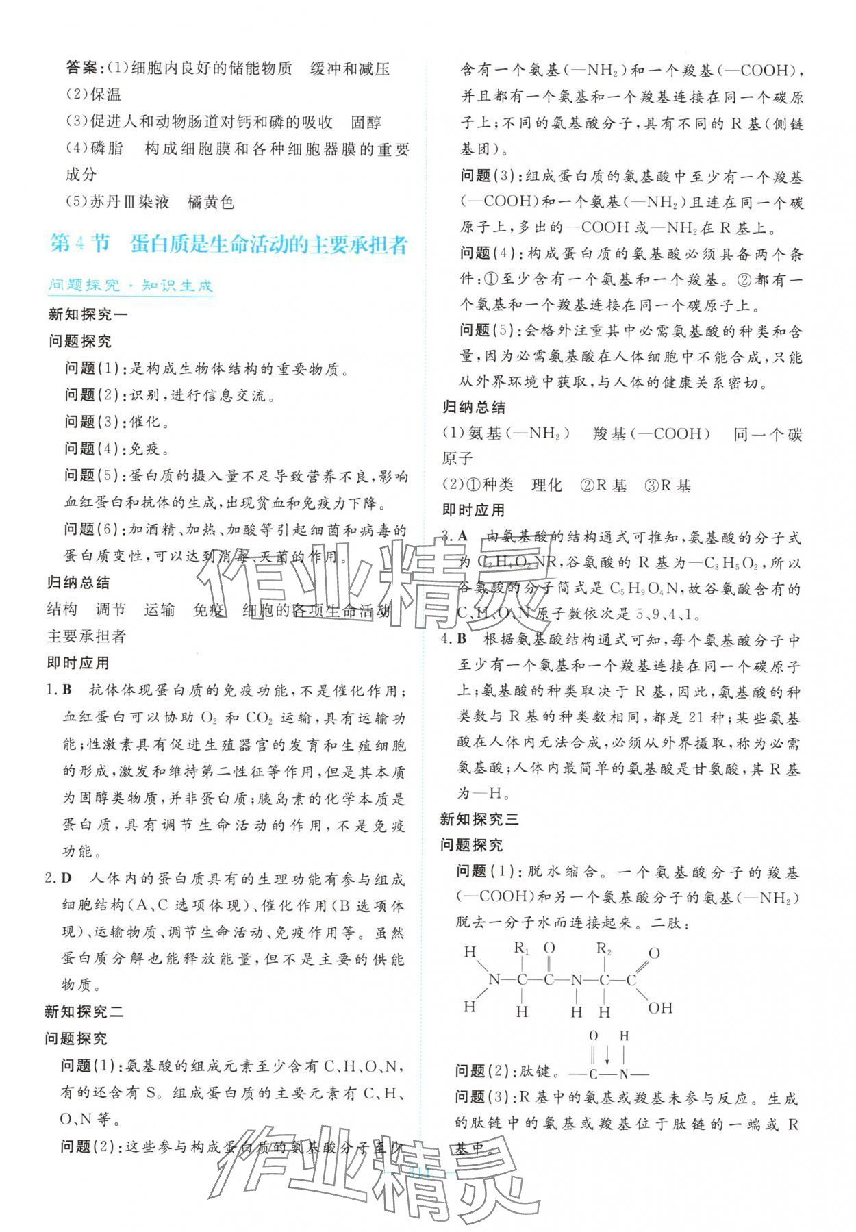 2025年高中同步测控全优设计优佳学案高中生物必修1人教版&nbsp;参考答案第9页