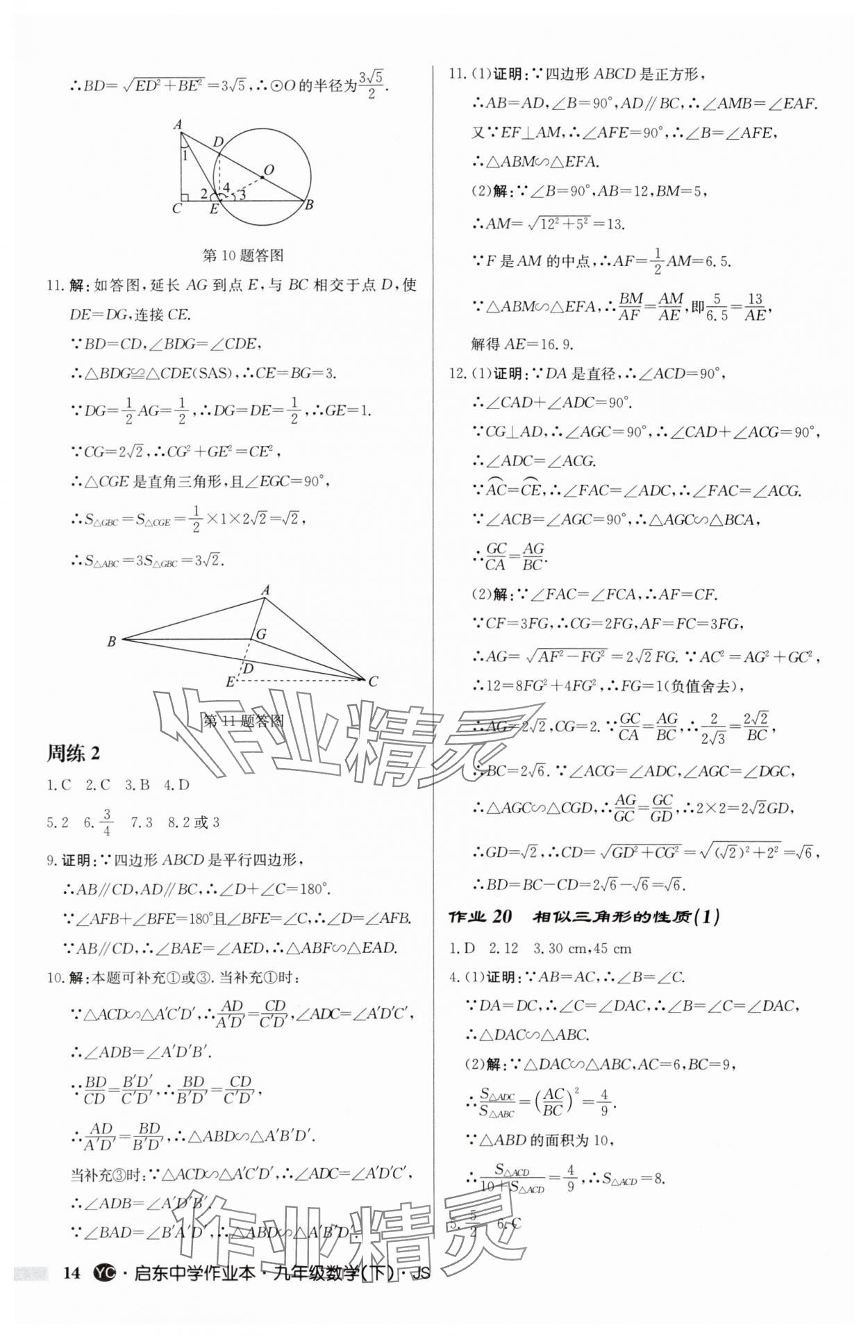 2025年啟東中學(xué)作業(yè)本九年級數(shù)學(xué)下冊蘇科版鹽城專版 參考答案第14頁