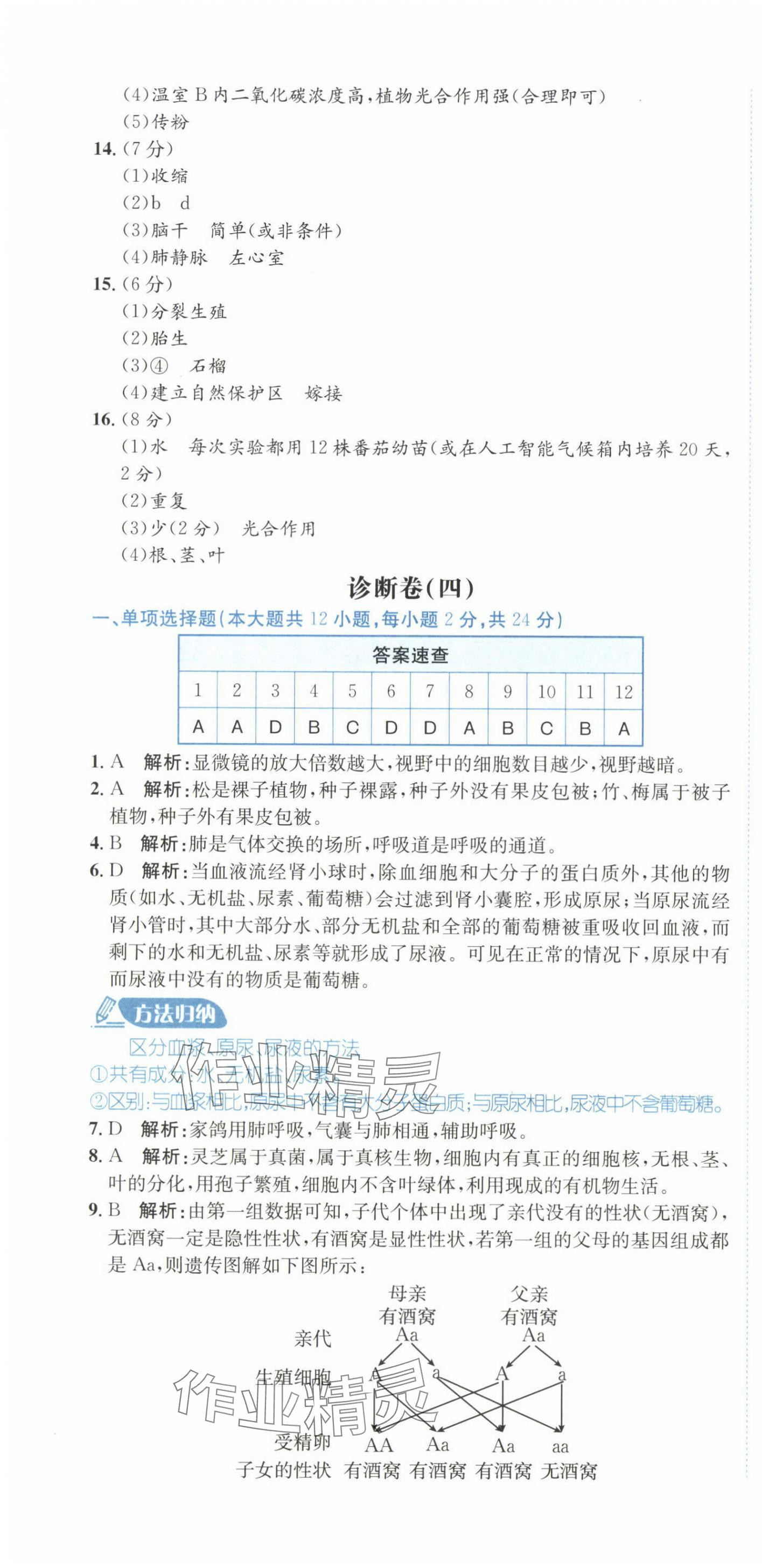 2025年卷霸冲A卷生物&nbsp;第4页