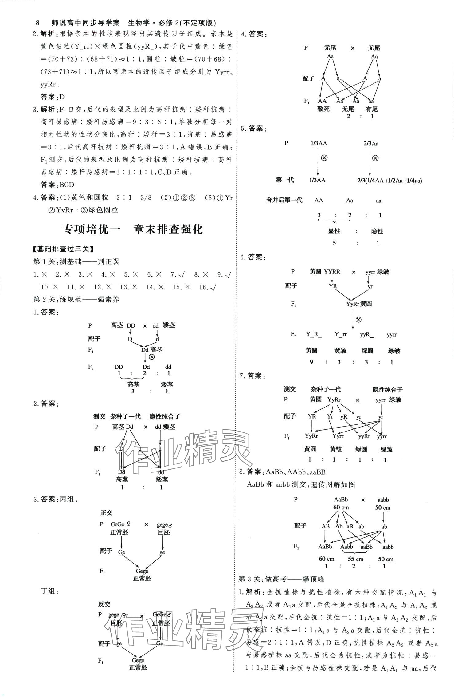 2024年師說高中同步導學案高中生物必修2 第7頁