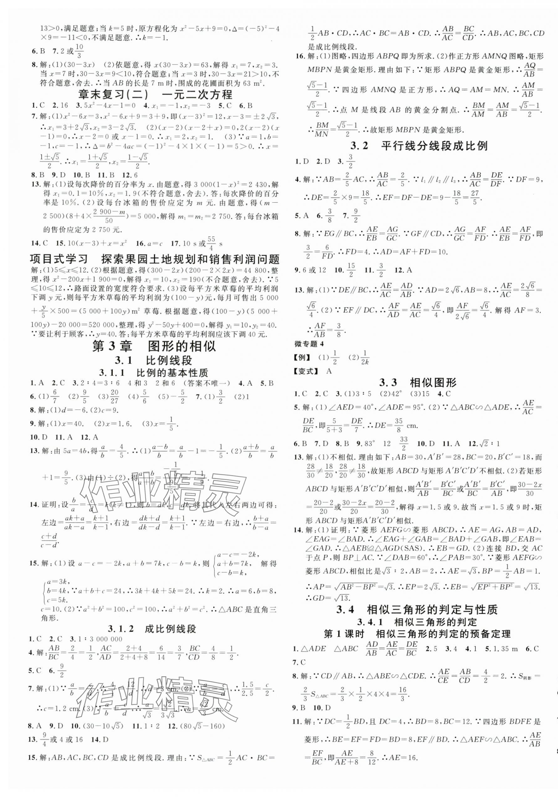 2025年名校课堂九年级数学全一册湘教版广西专版 第5页