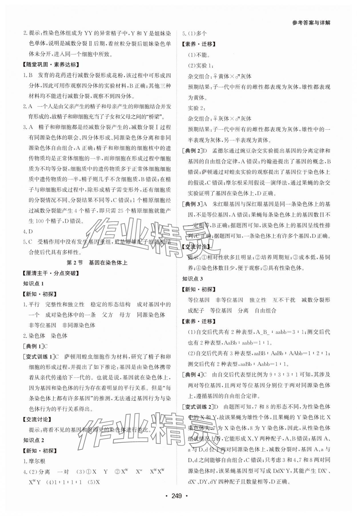 2024年系統(tǒng)集成新課程同步導(dǎo)學(xué)練測(cè)高中生物必修2 參考答案第7頁(yè)