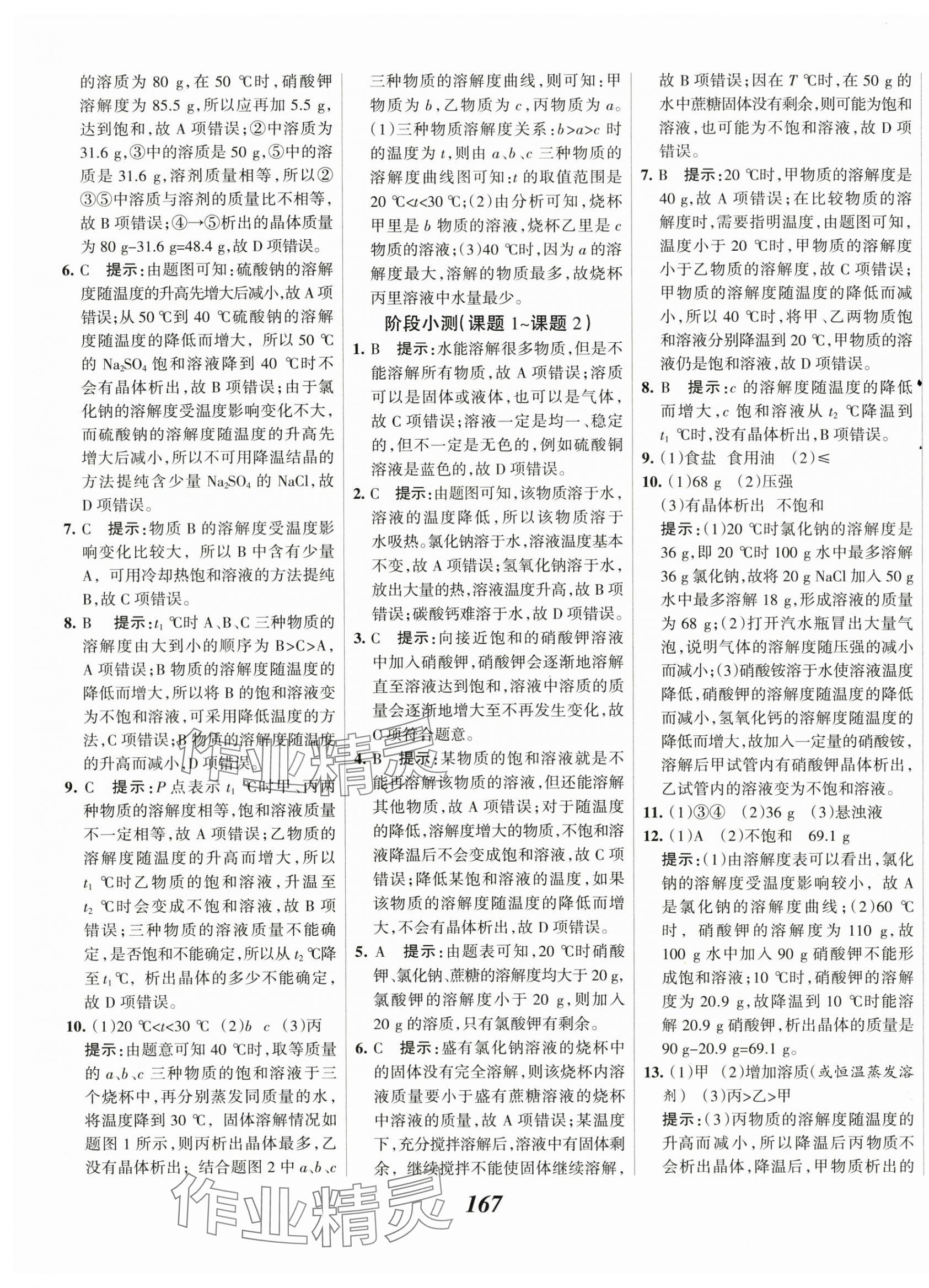 2024年全優(yōu)課堂考點集訓(xùn)與滿分備考九年級化學(xué)下冊人教版 第11頁