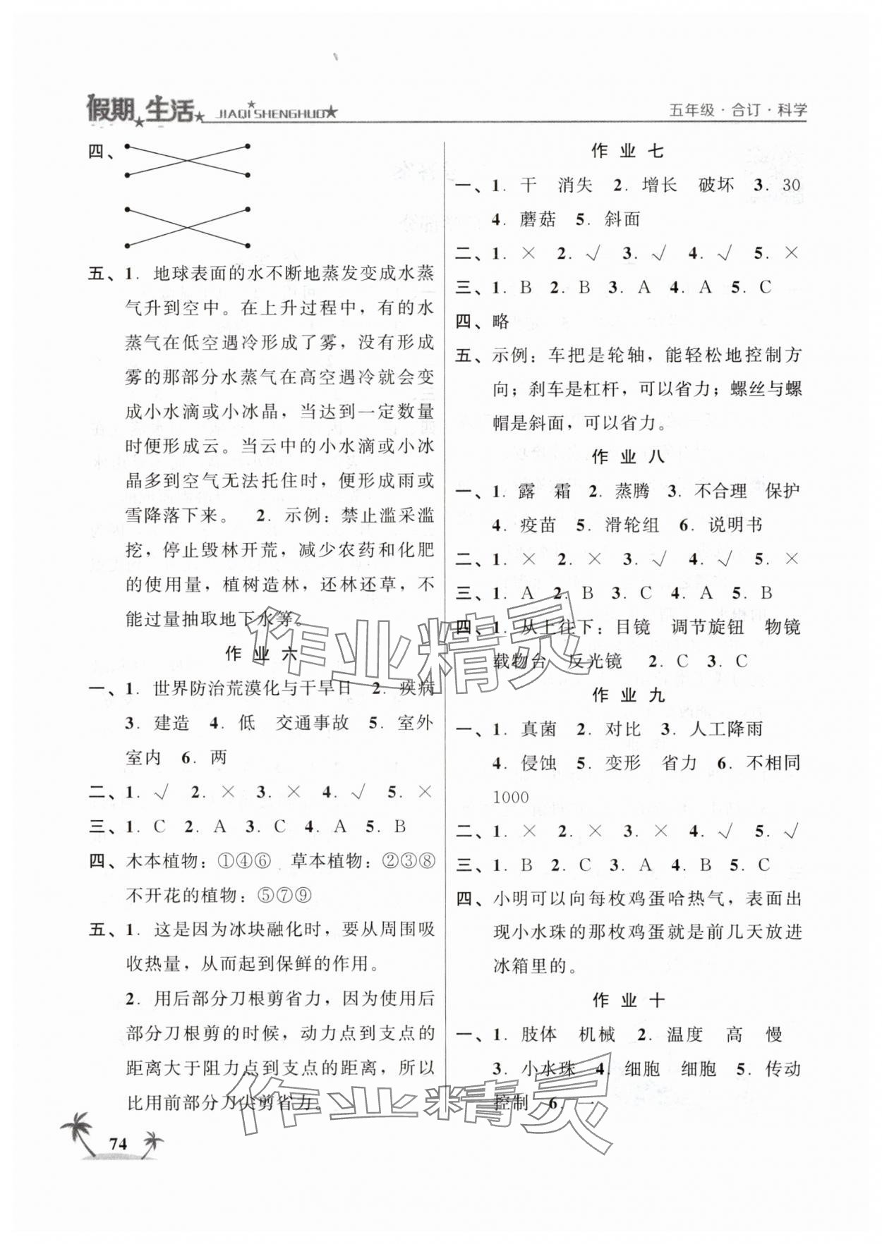 2025年假期生活方圆电子音像出版社五年级 第2页