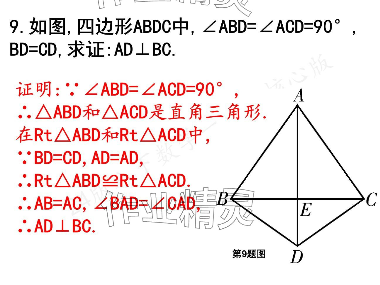 2025年一本通武漢出版社八年級數學下冊北師大版核心板 參考答案第55頁