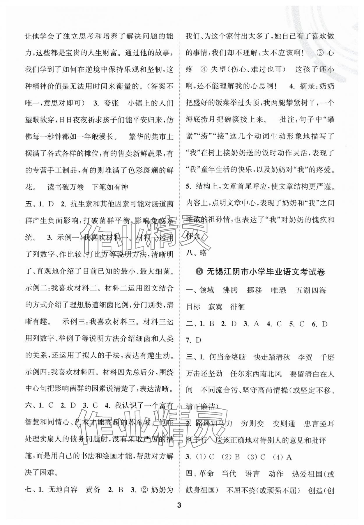 2025年小學(xué)畢業(yè)甄選卷語(yǔ)文&nbsp;第3頁(yè)
