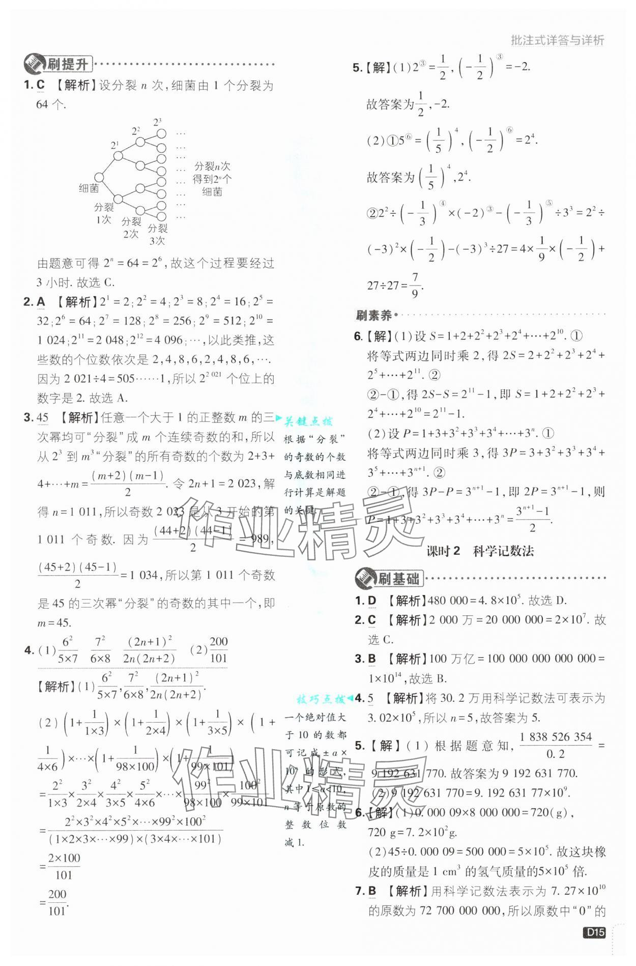 2024年初中必刷題七年級數(shù)學上冊滬科版 參考答案第15頁