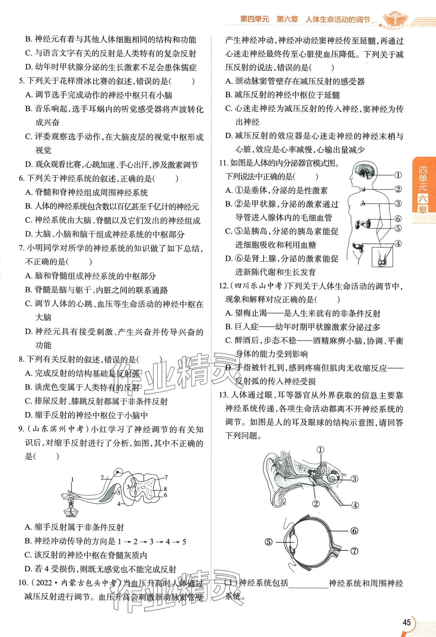 2024年教材课本七年级生物下册鲁科版&nbsp;第45页