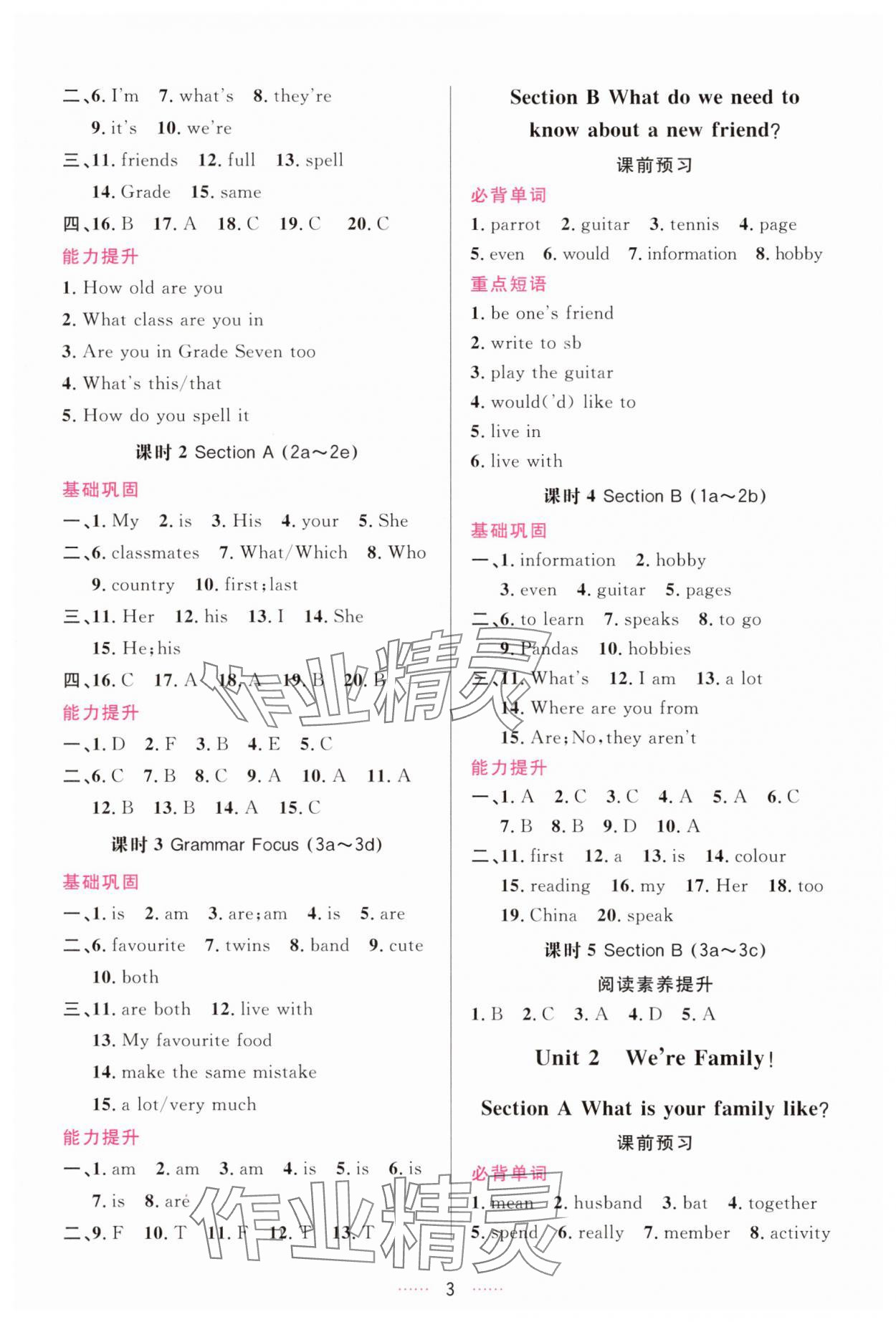2025年三維數(shù)字課堂七年級英語上冊人教版 第3頁
