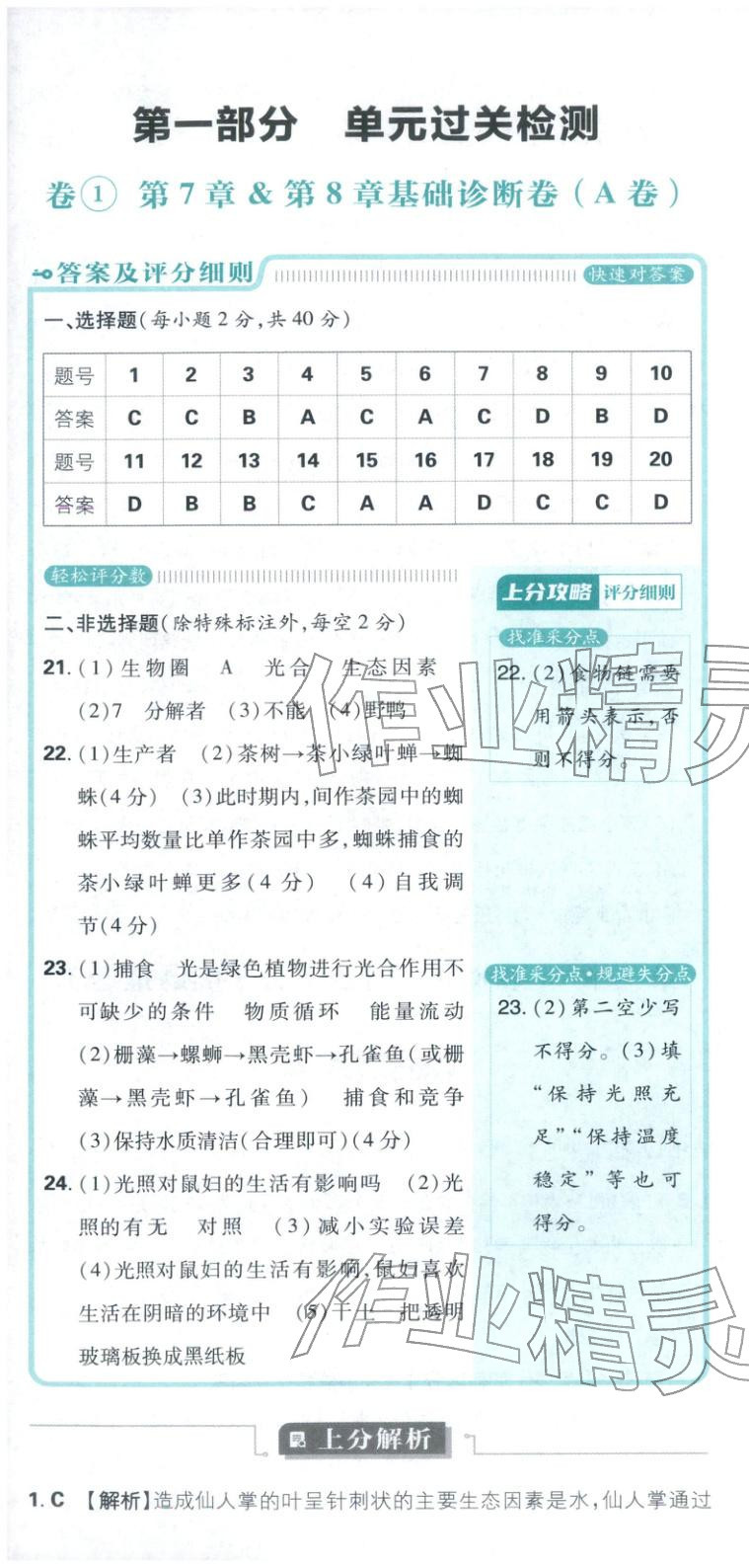 2026年初中上分卷单元诊断自查七年级生物下册苏教版&nbsp;第1页