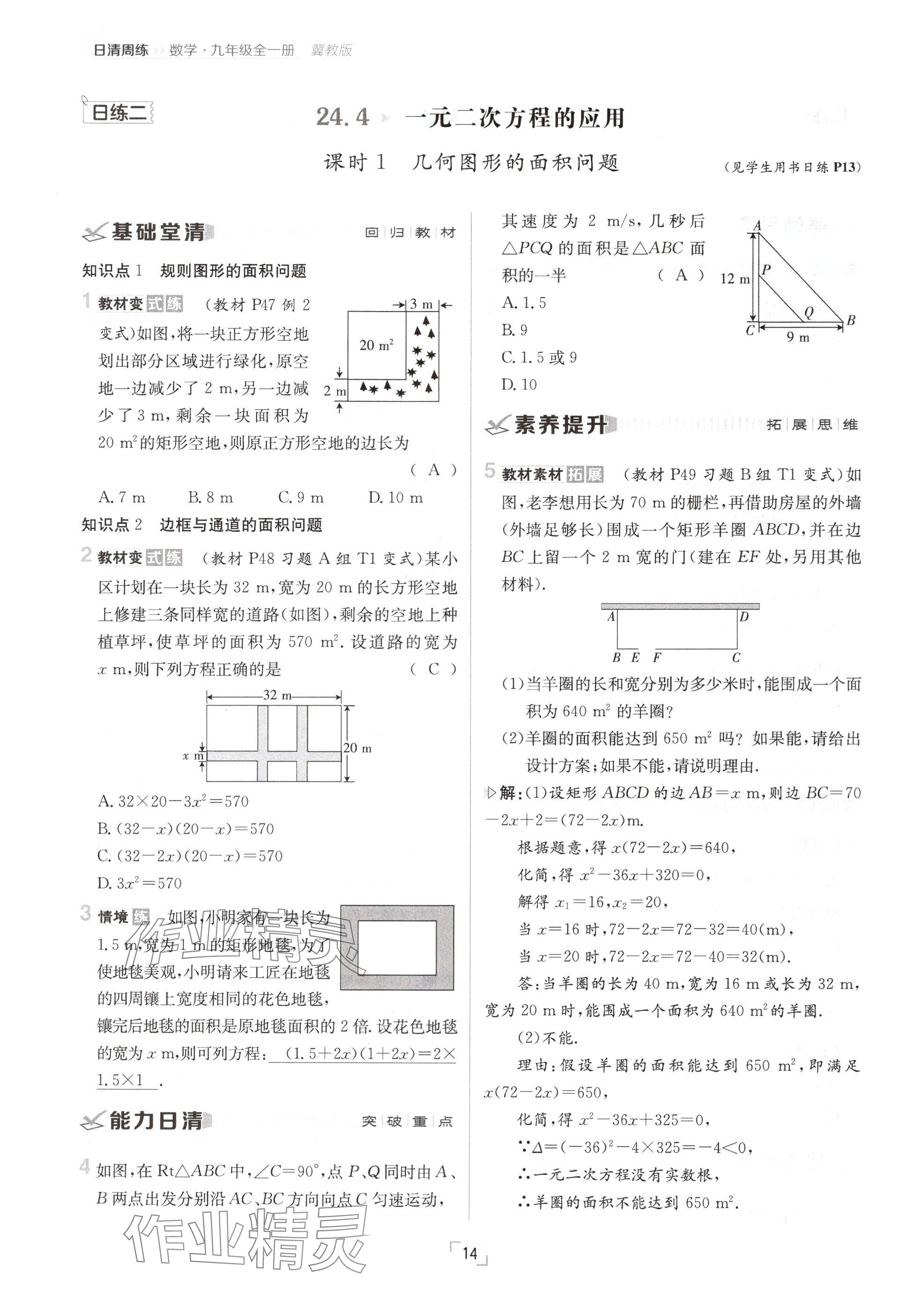 2024年日清周練九年級數(shù)學(xué)全一冊冀教版 參考答案第14頁