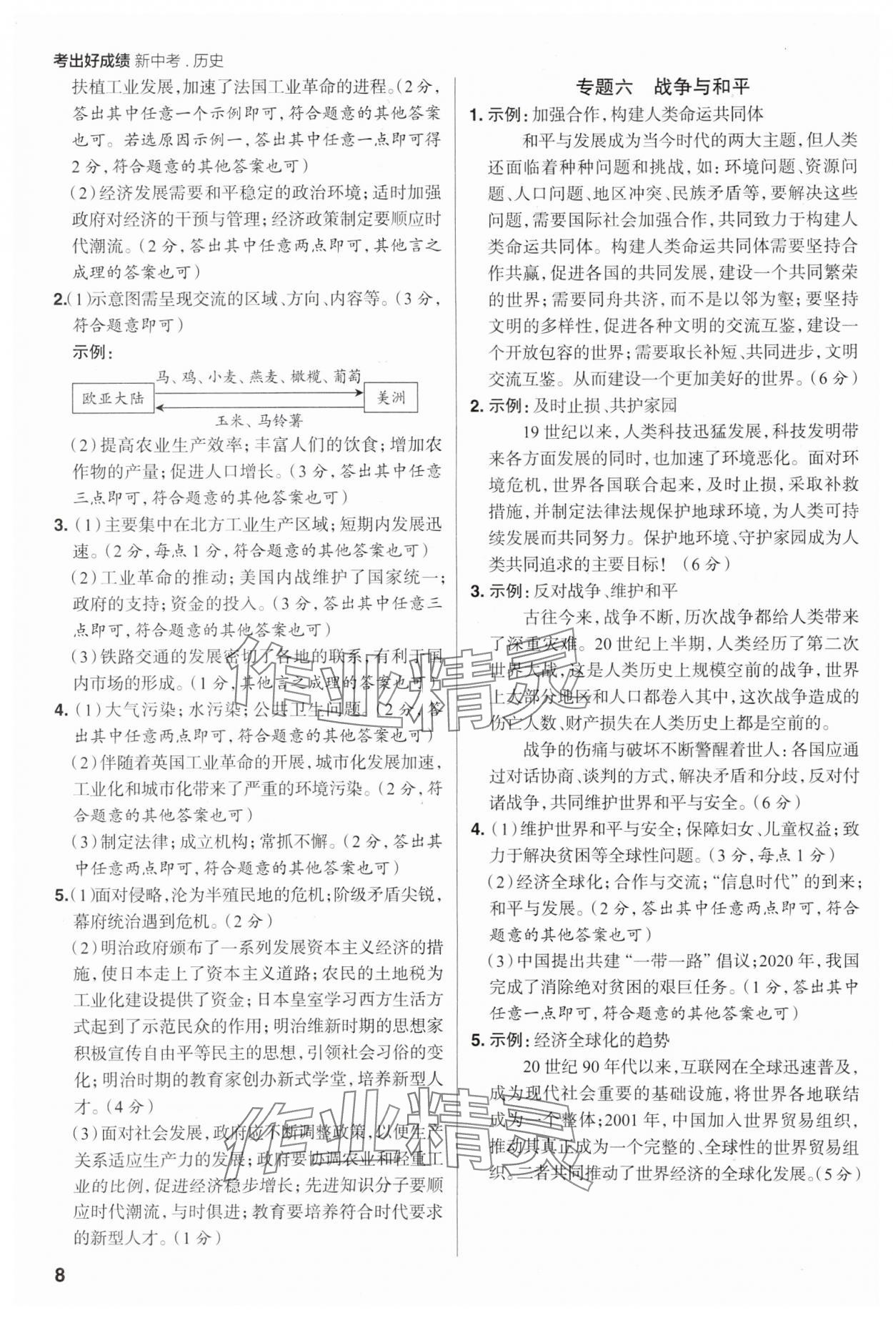 2025年考出好成績中考總復(fù)習(xí)歷史河南專版 第8頁