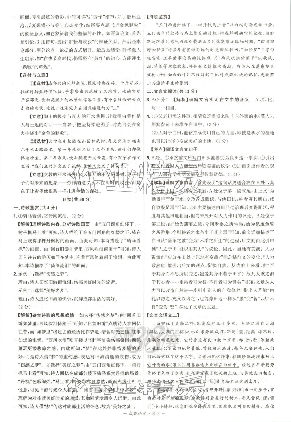 2026年天利38套中考試題精選語文成都專版&nbsp;第3頁