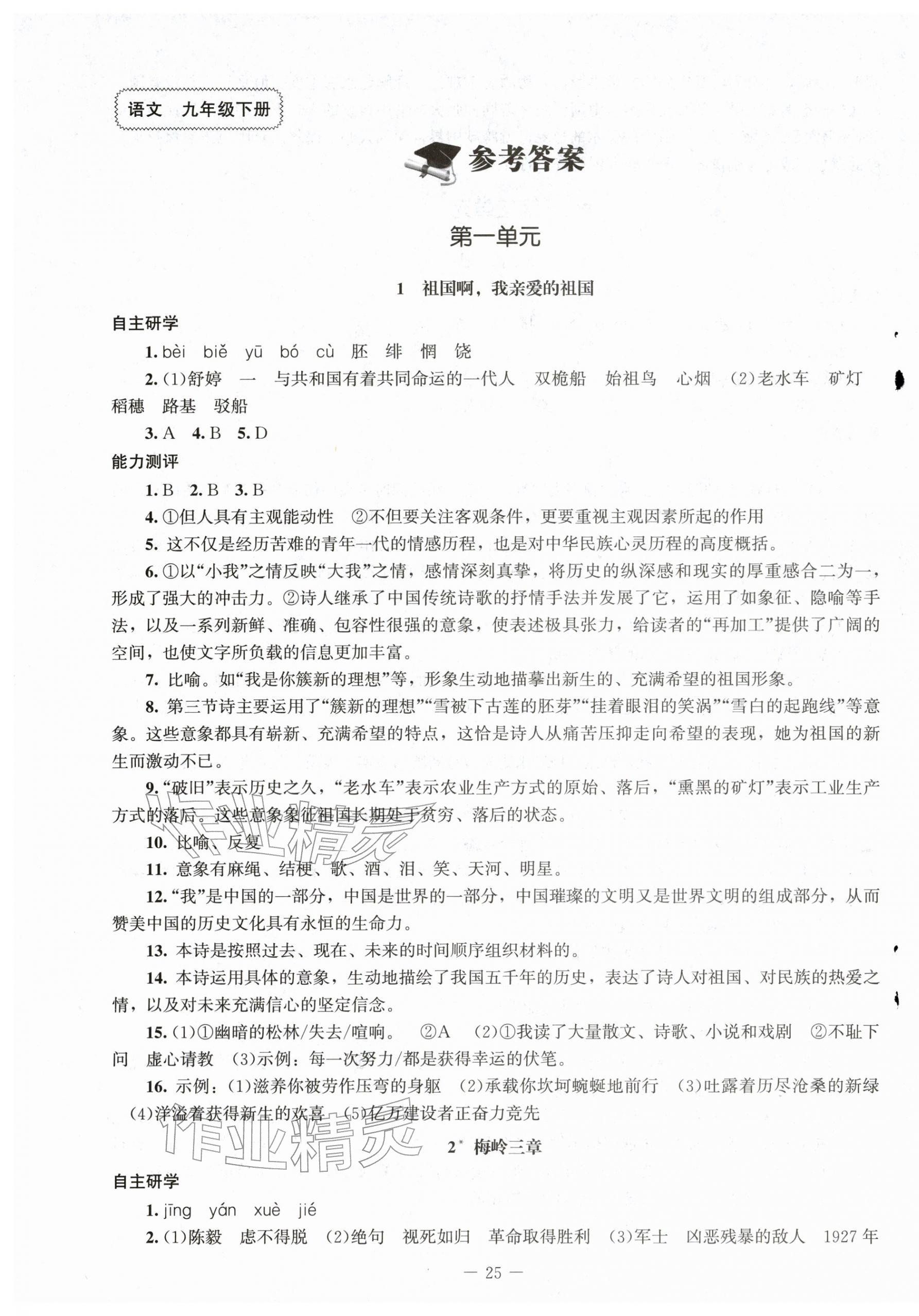 2026年同步练习册九年级语文下册人教版北京师范大学出版社&nbsp;第1页