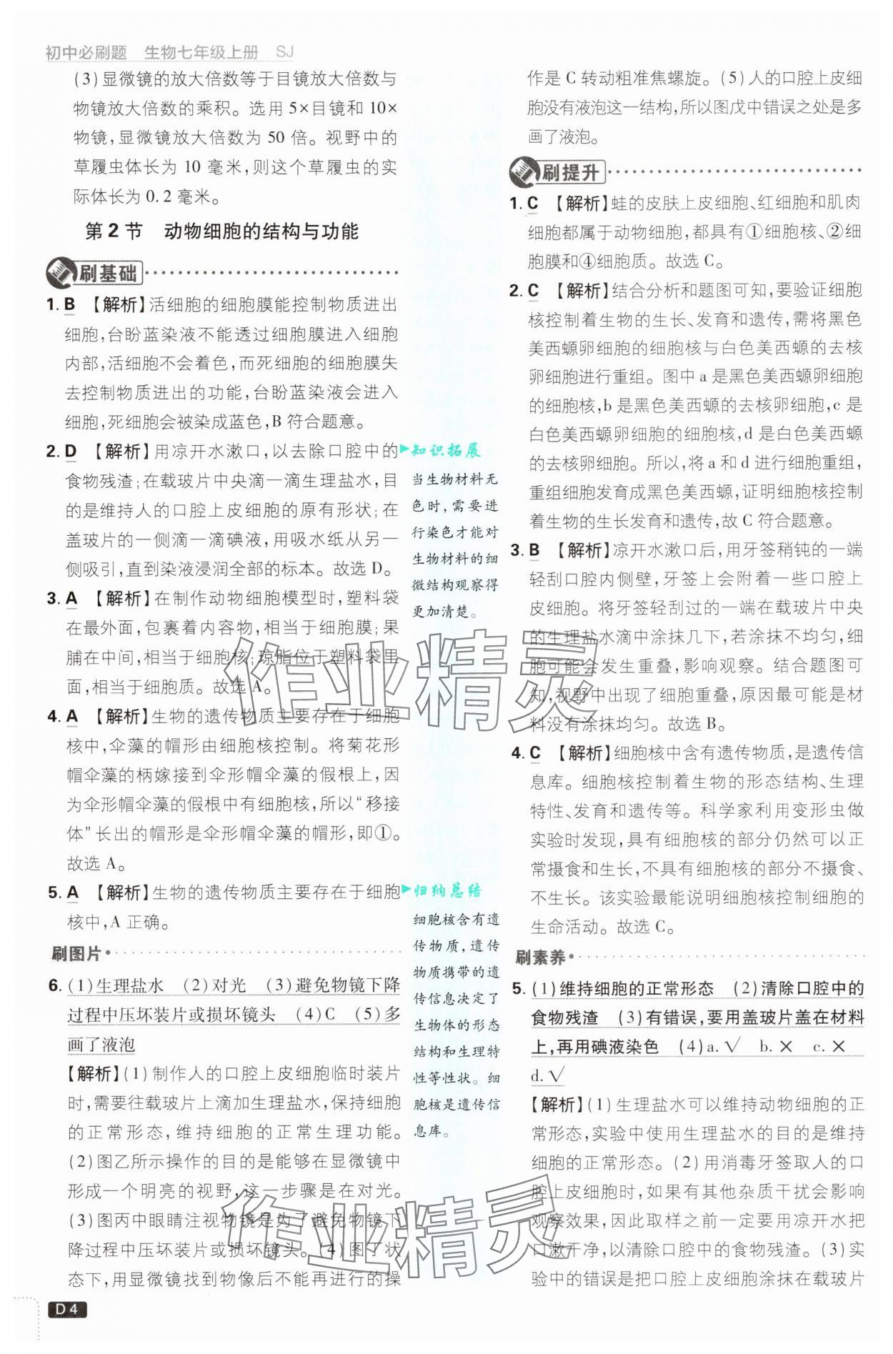 2025年初中必刷題七年級生物上冊蘇教版 第4頁