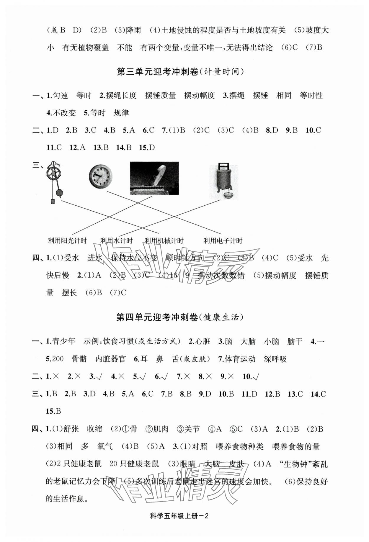 2024年浙江各地期末迎考卷五年級科學(xué)上冊教科版 第2頁