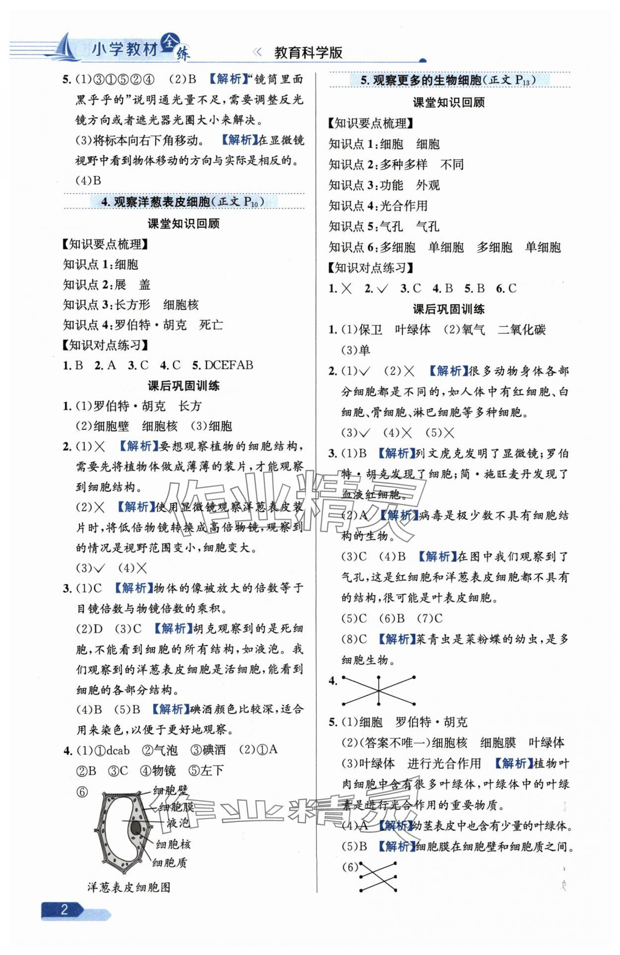 2024年教材全練六年級(jí)科學(xué)上冊(cè)教科版 參考答案第2頁(yè)