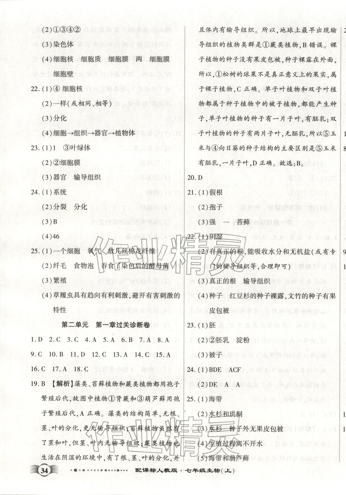 2025年全程优选卷七年级生物上册人教版 第3页