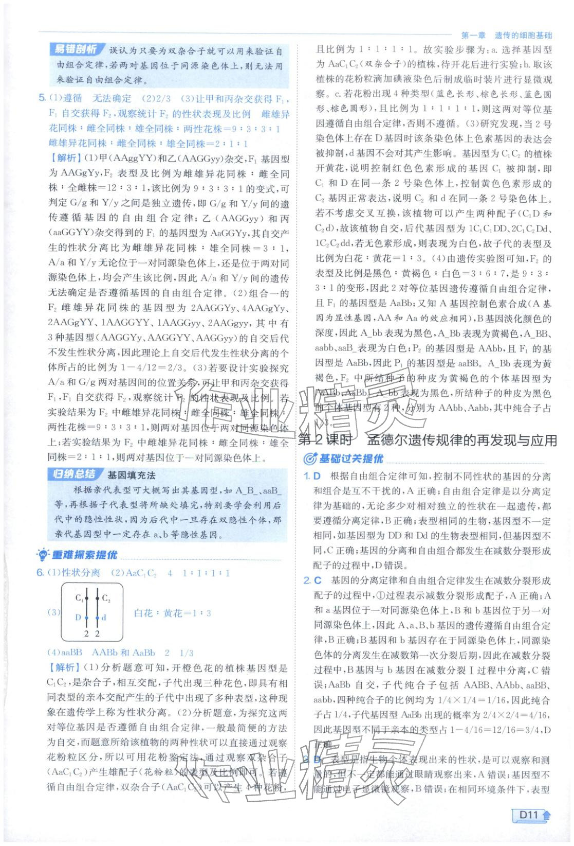 2026年實(shí)驗(yàn)班提優(yōu)訓(xùn)練高中生物必修第二冊(cè)蘇教版&nbsp;第11頁