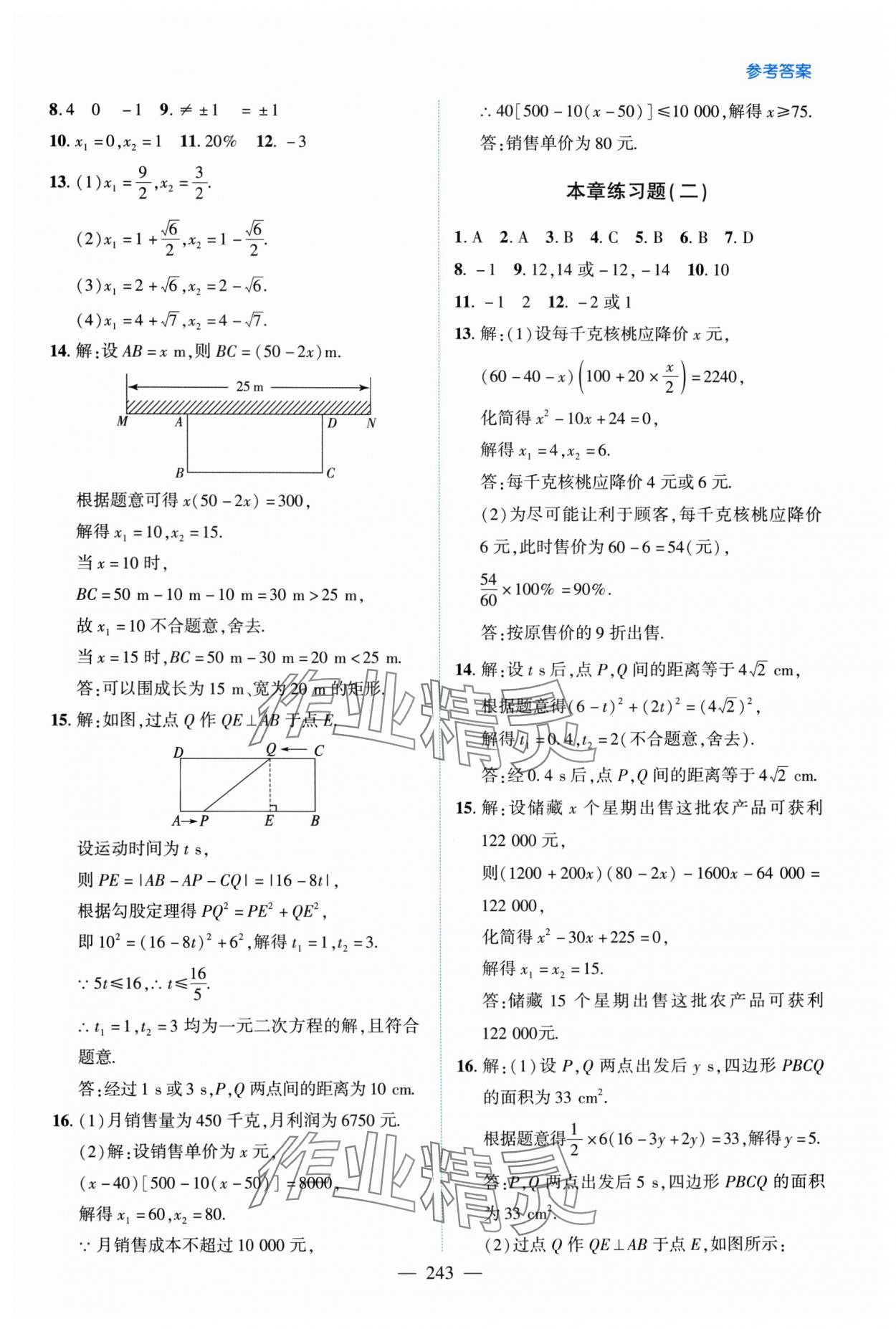 2025年新課堂學習與探究九年級數學全一冊北師大版&nbsp;第11頁