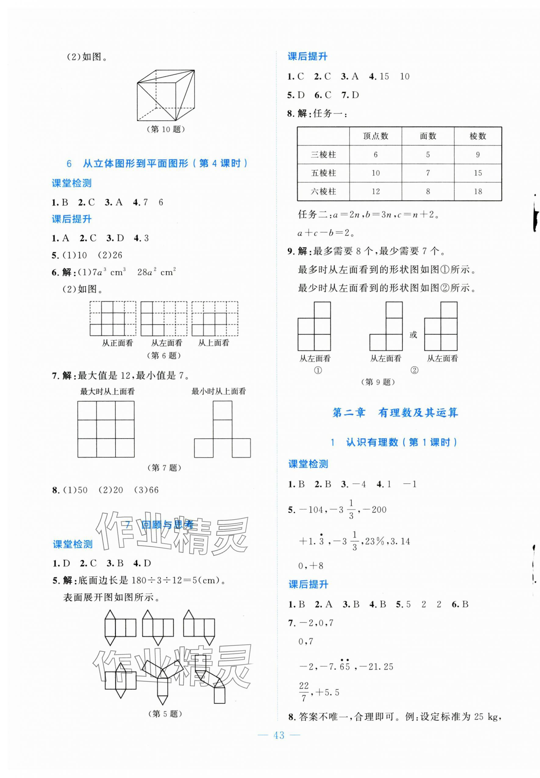 2024年伴你学北京师范大学出版社七年级数学上册北师大版 第3页