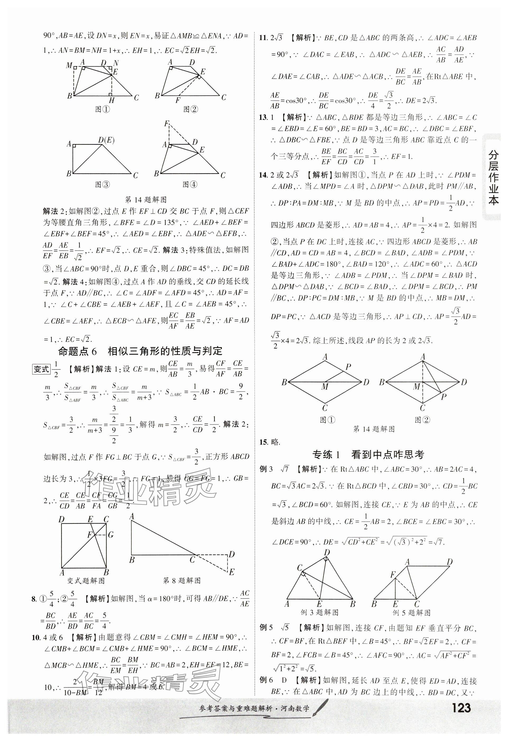 2025年一戰(zhàn)成名考前新方案數(shù)學河南專版 參考答案第7頁