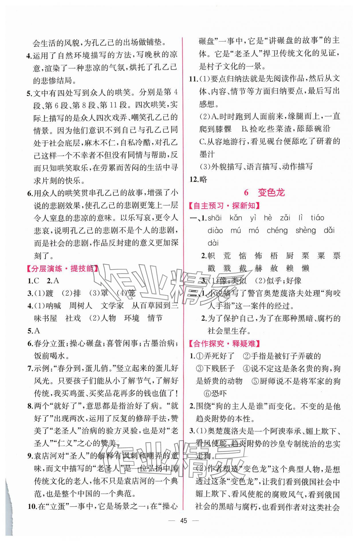 2024年同步導(dǎo)學(xué)案課時練九年級語文下冊人教版 第5頁