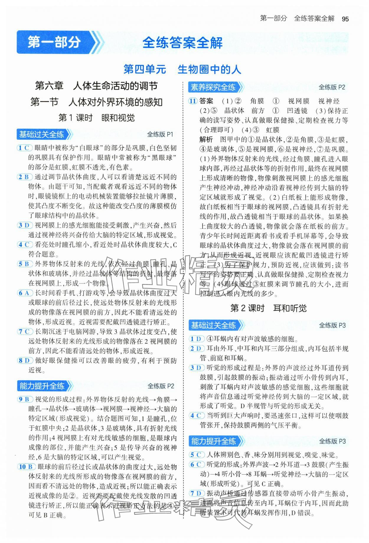 2025年5年中考3年模拟七年级生物下册鲁科版 第1页