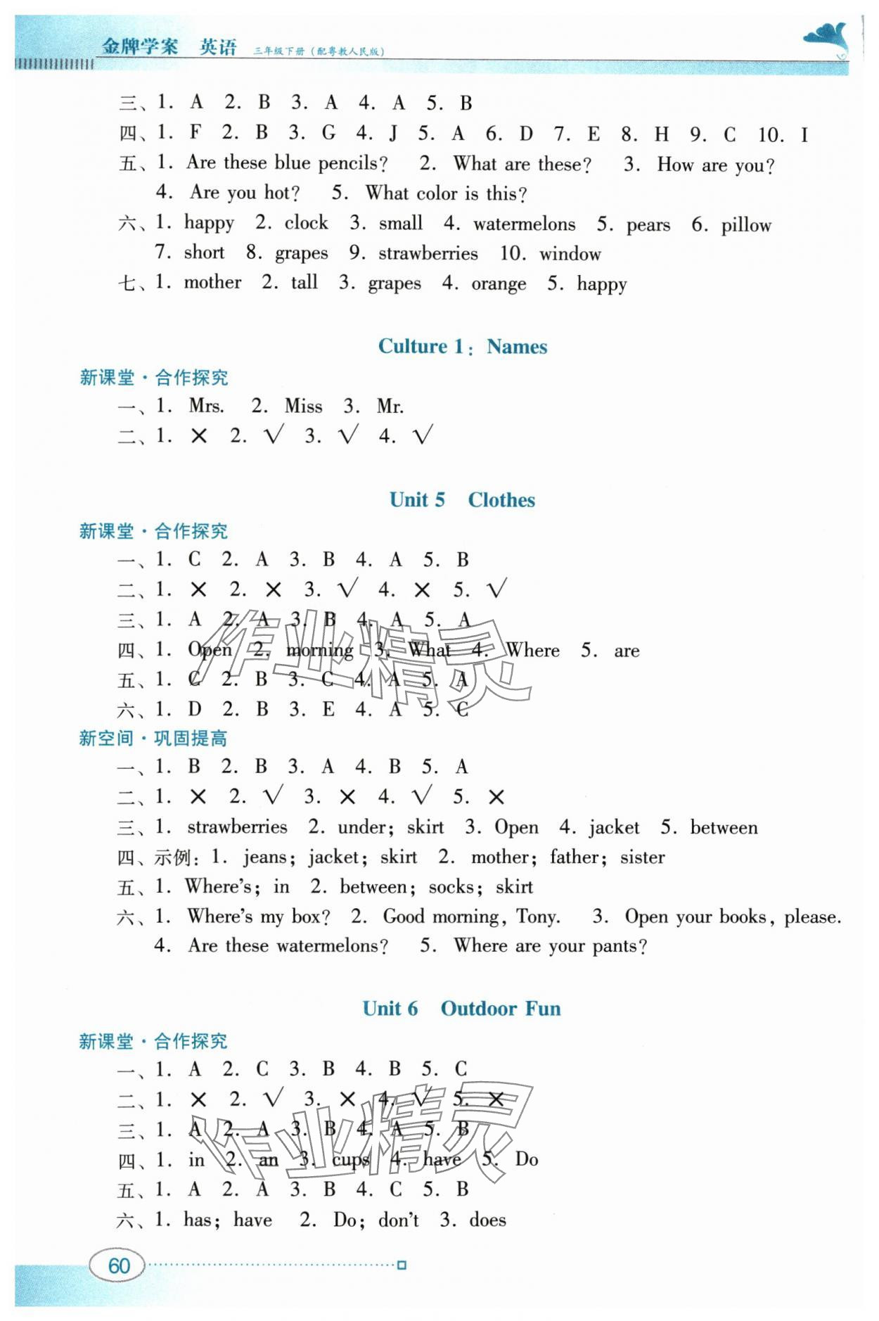 2024年南方新課堂金牌學(xué)案三年級英語下冊粵人版 參考答案第3頁