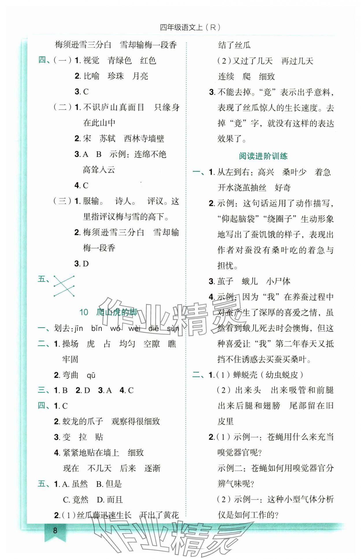 2025年黃岡小狀元作業(yè)本四年級語文上冊人教版 參考答案第8頁