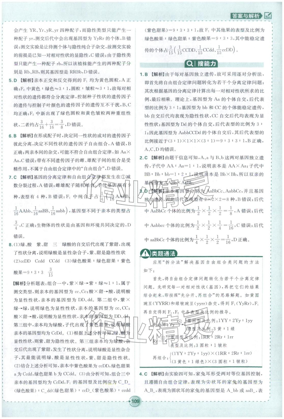 2026年热搜题高中生物必修第二册人教版 第3页