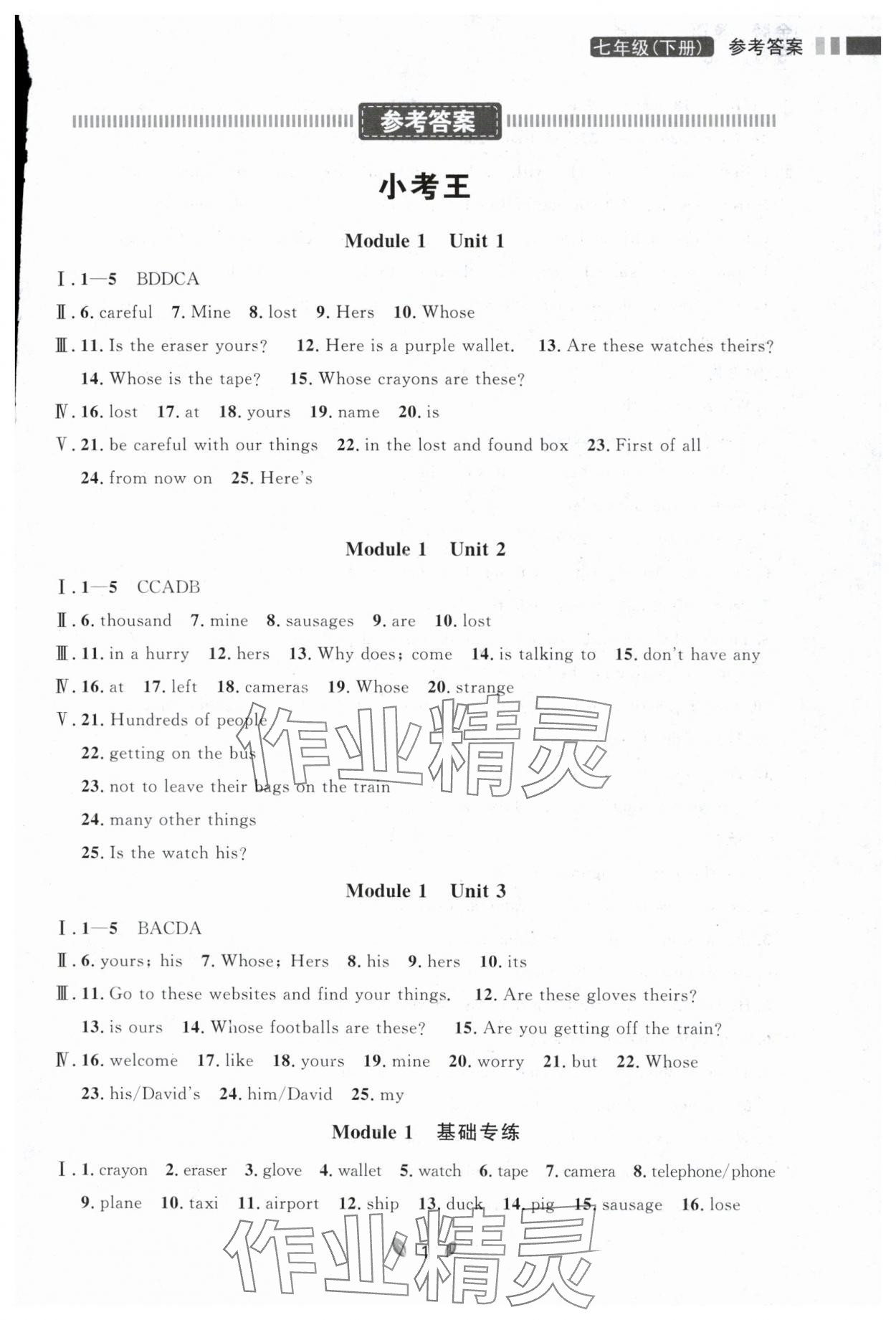 2024年点石成金金牌夺冠七年级英语下册外研版辽宁专版 参考答案第1页