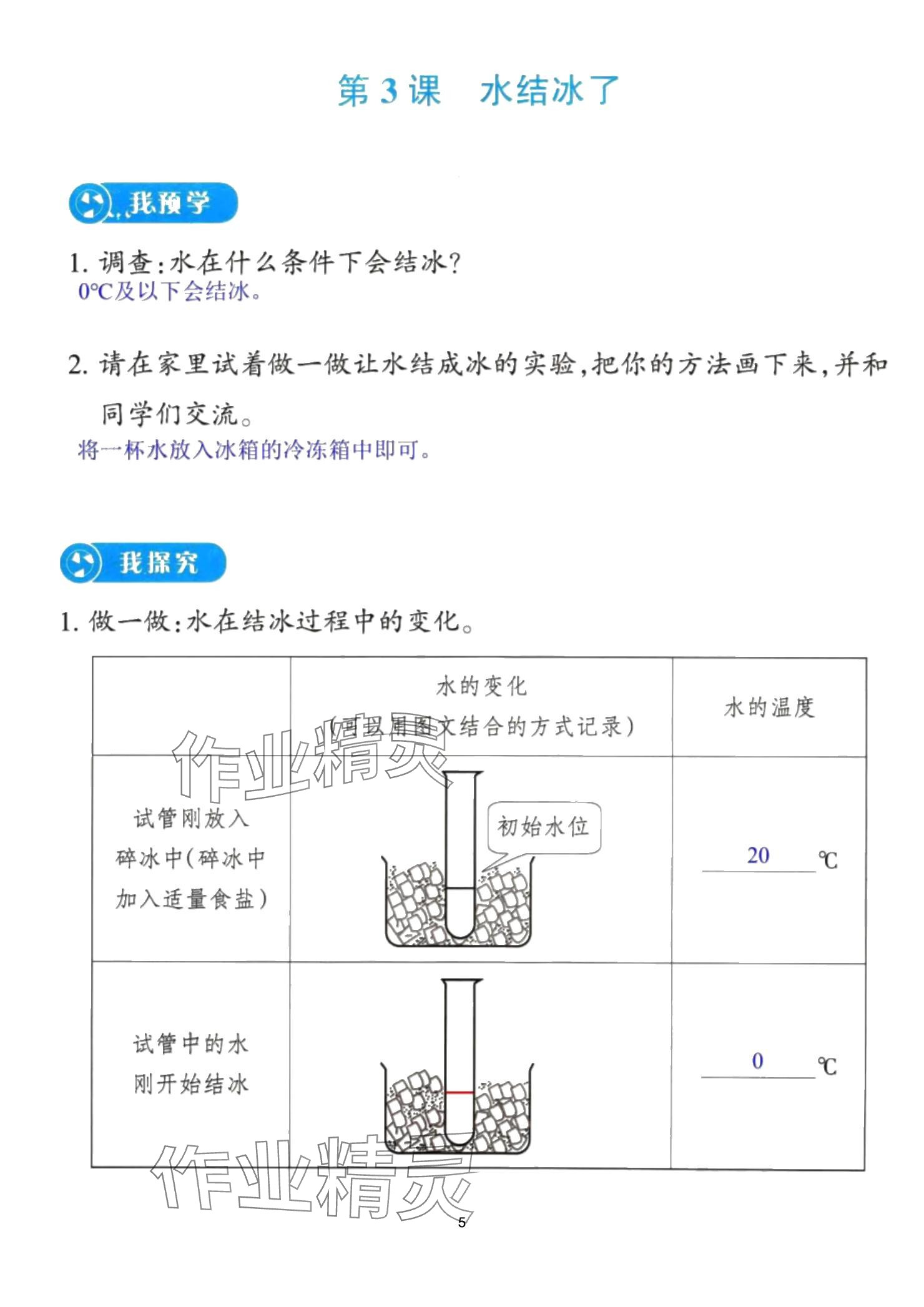 2024年预学与导学三年级科学上册教科版 参考答案第5页