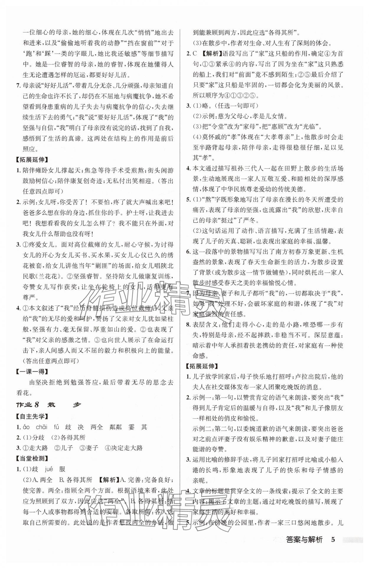 2025年啟東中學作業(yè)本七年級語文上冊人教版 第5頁