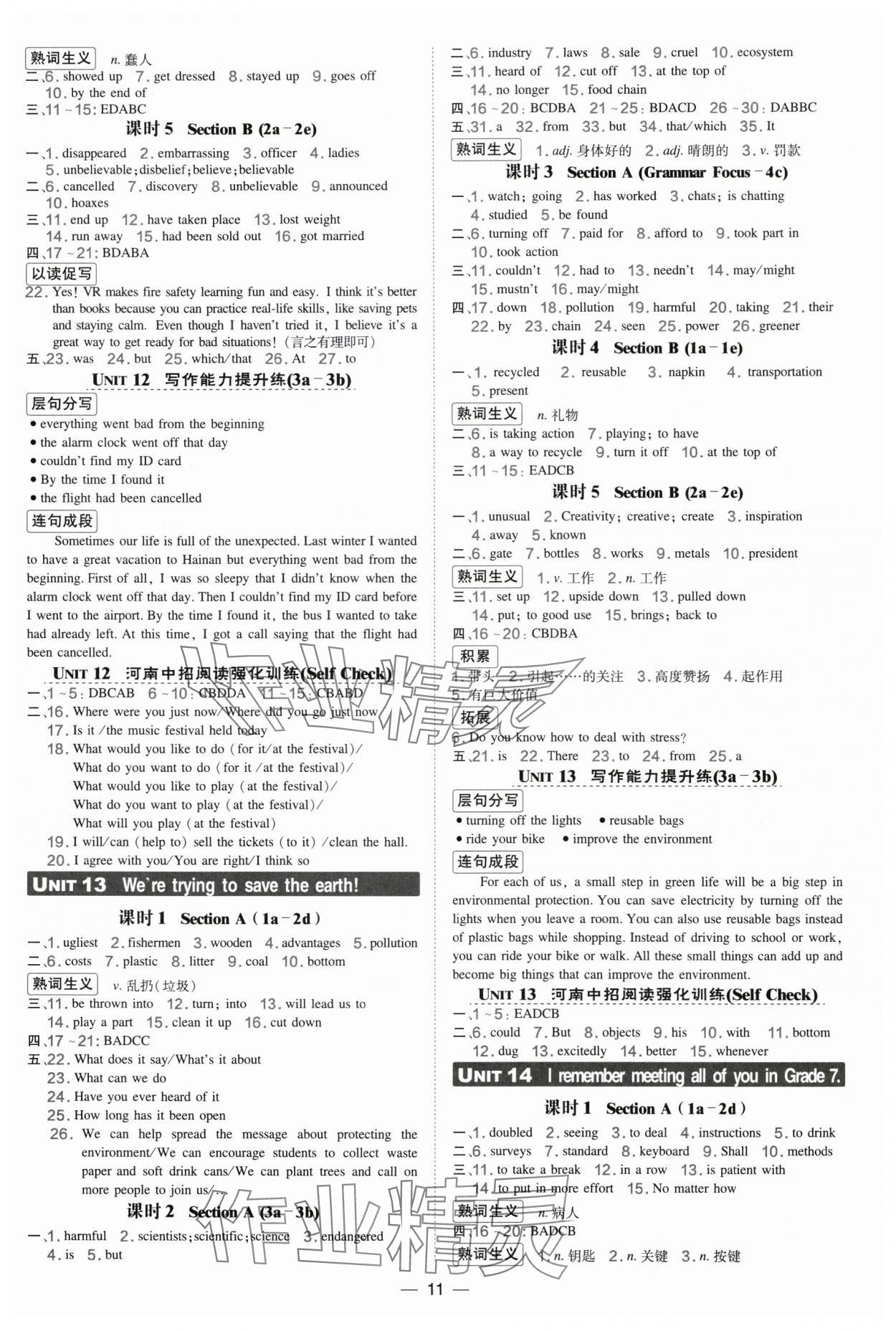 2025年点拨训练九年级英语全一册人教版河南专版 第11页