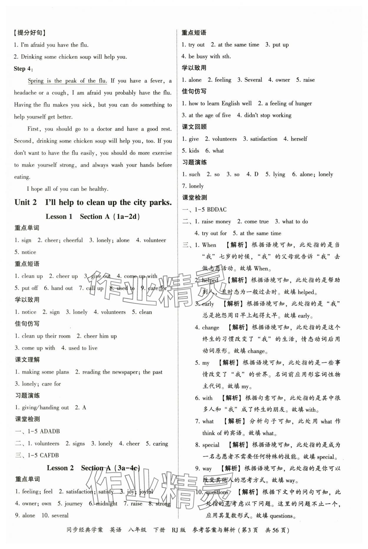 2025年同步經(jīng)典學(xué)案八年級(jí)英語(yǔ)下冊(cè)人教版 第3頁(yè)