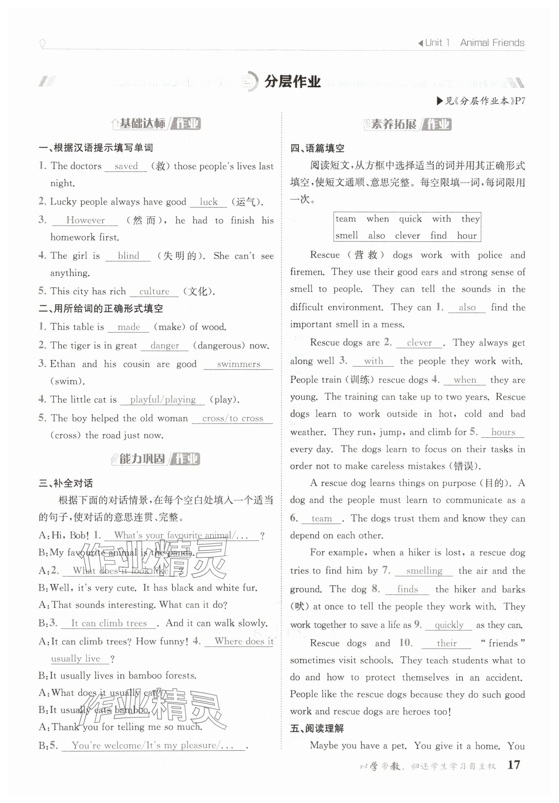 2025年金太陽導學案七年級英語下冊人教版 參考答案第17頁