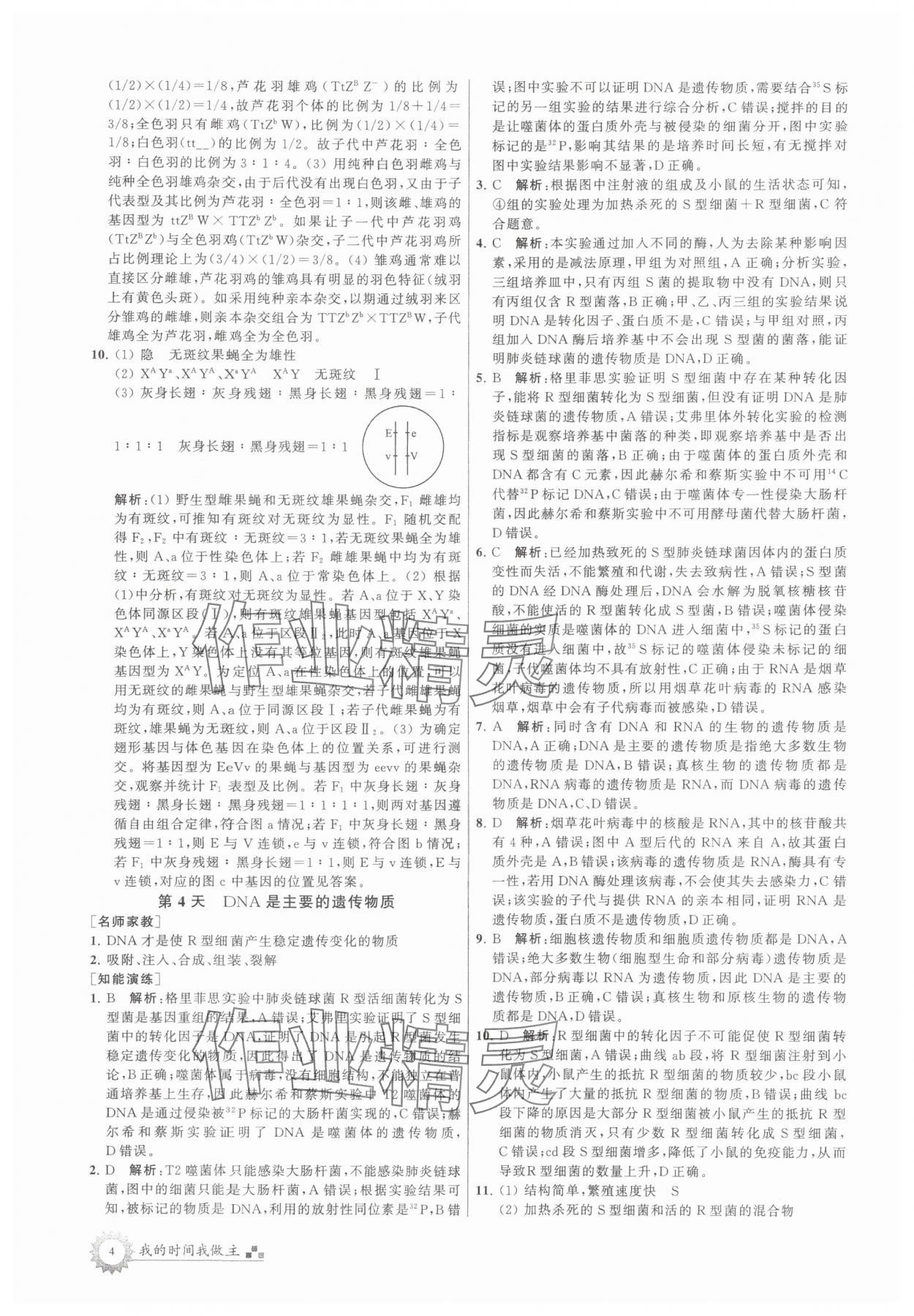 2025年最高考假期作業(yè)高一生物 第4頁