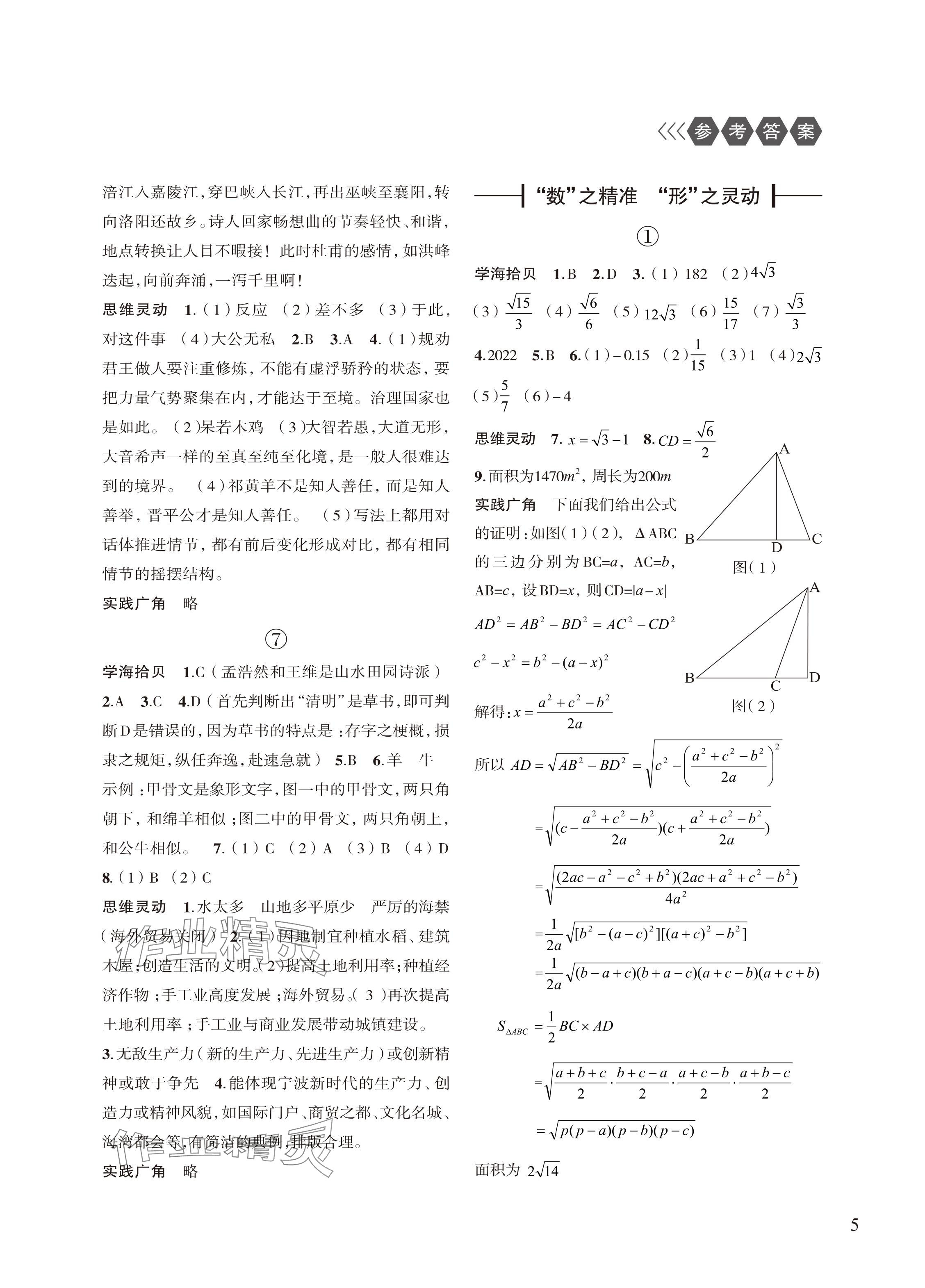 2024年暑假学习乐园浙江科学技术出版社八年级合订本 参考答案第5页